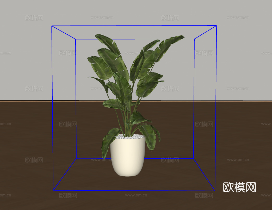 盆栽绿植su模型