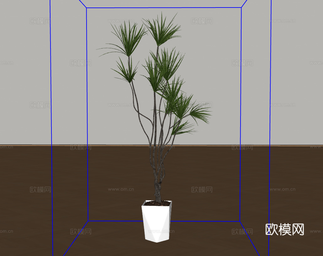 盆栽绿植su模型
