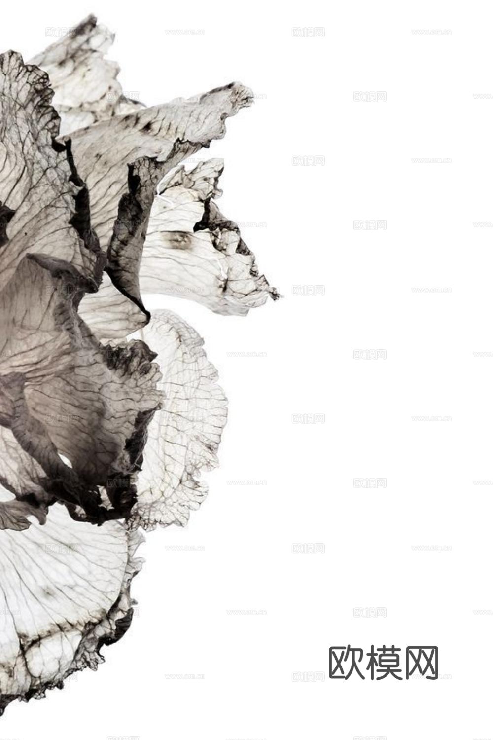 现代装饰画 现代简约挂画 风景装饰画 艺术挂画