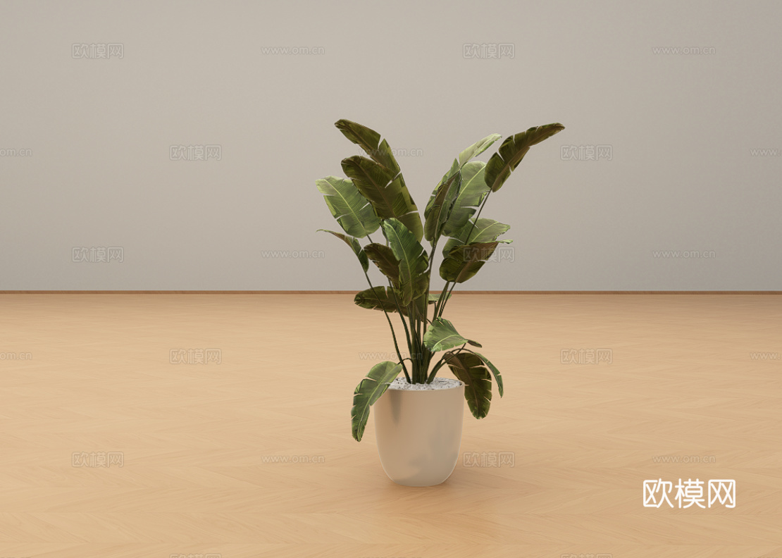盆栽绿植su模型