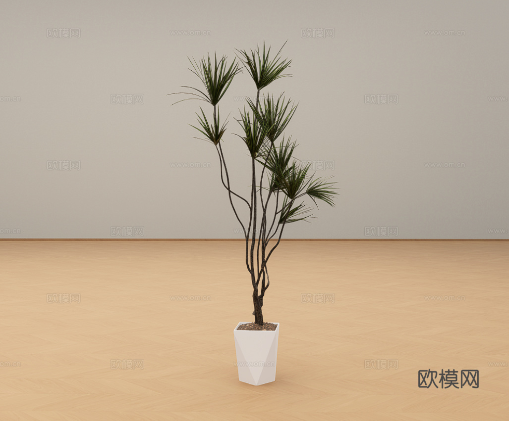 盆栽绿植su模型