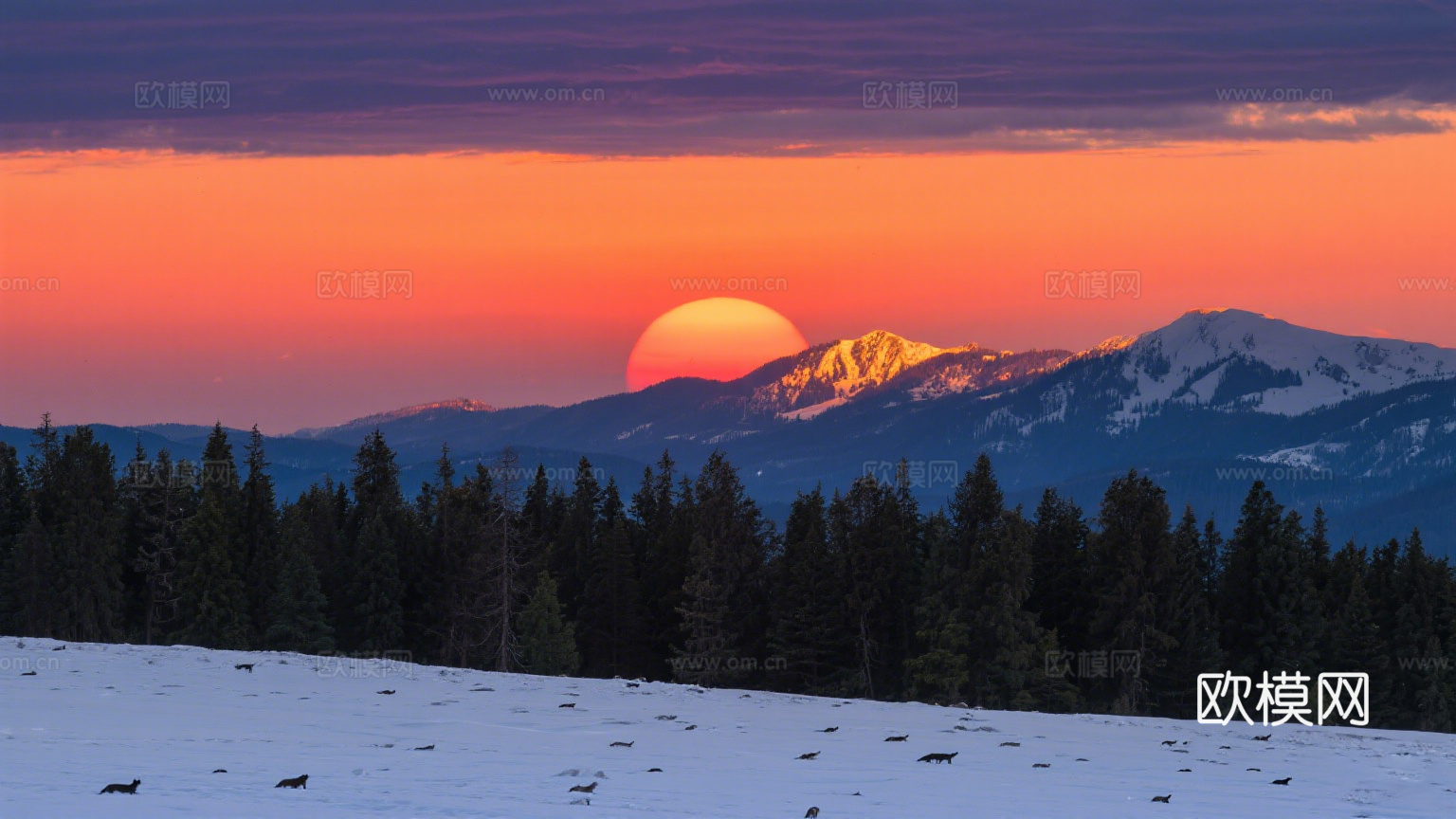 风景 黄昏 夕阳 雪山