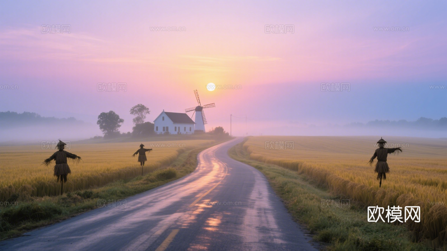 黄昏 夕阳 马路 稻田