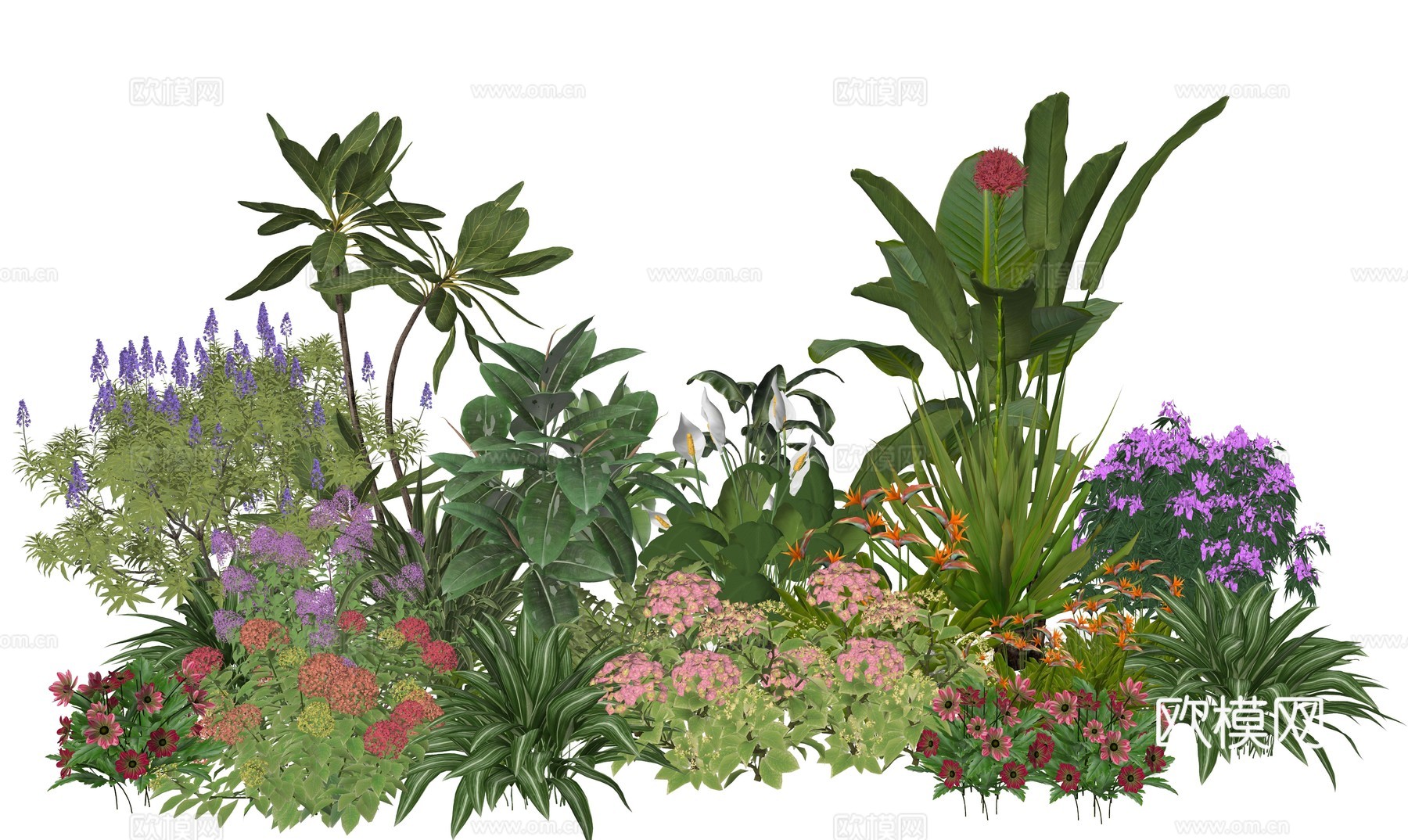 现代庭院植物景观组合su模型