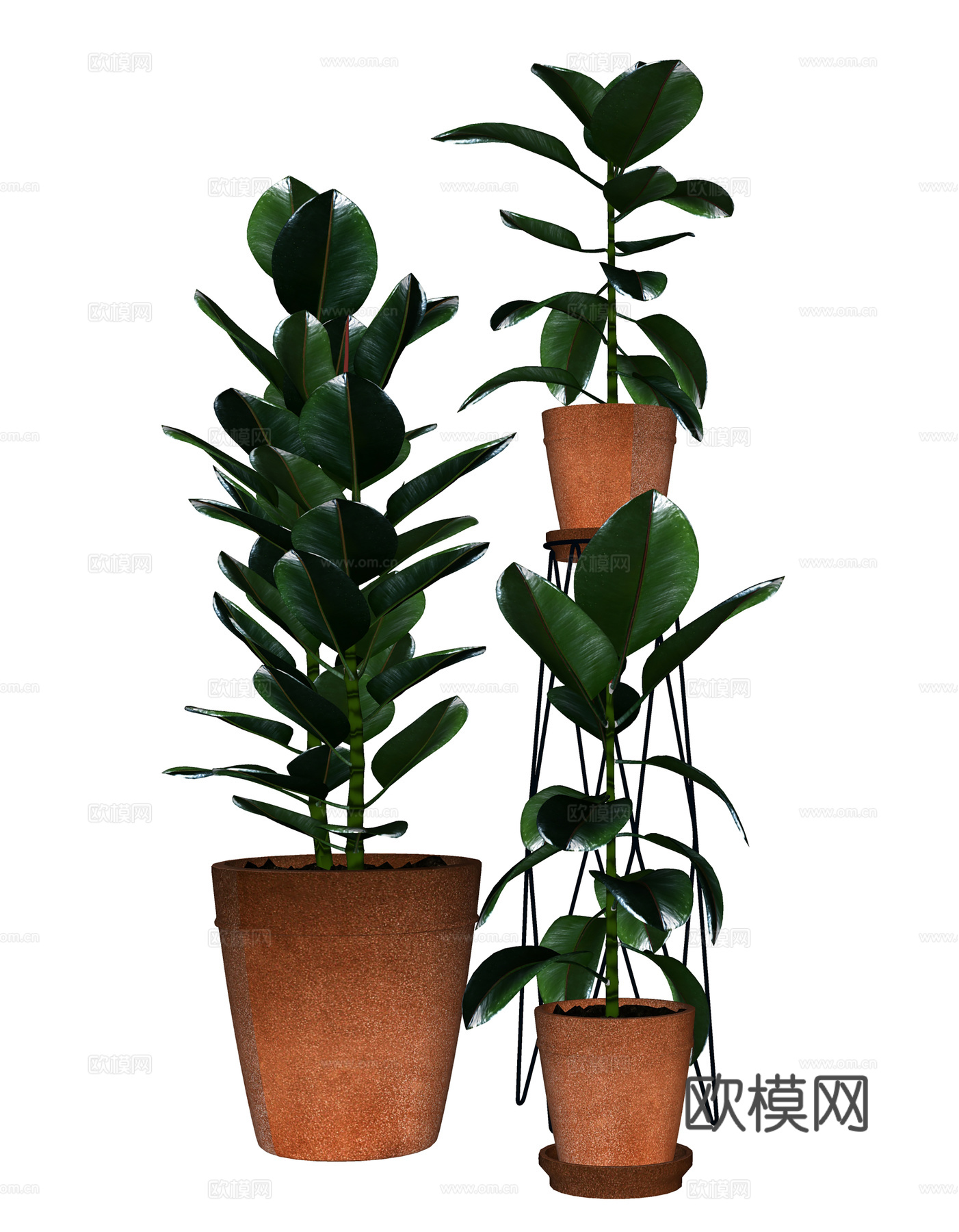 现代盆栽盆景 绿植盆栽组合   树 花盆su模型