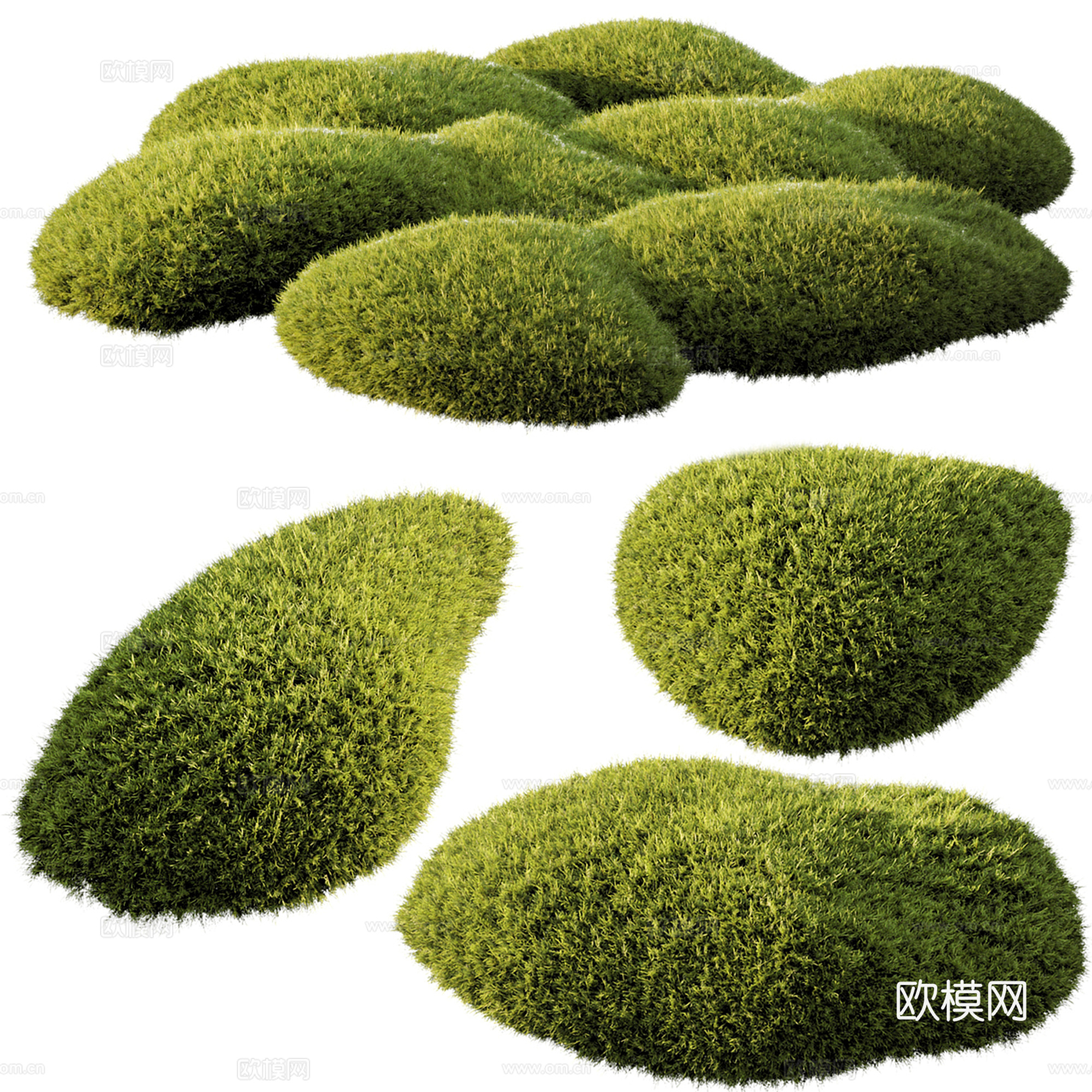 现代植物堆 户外灌木 植物su模型