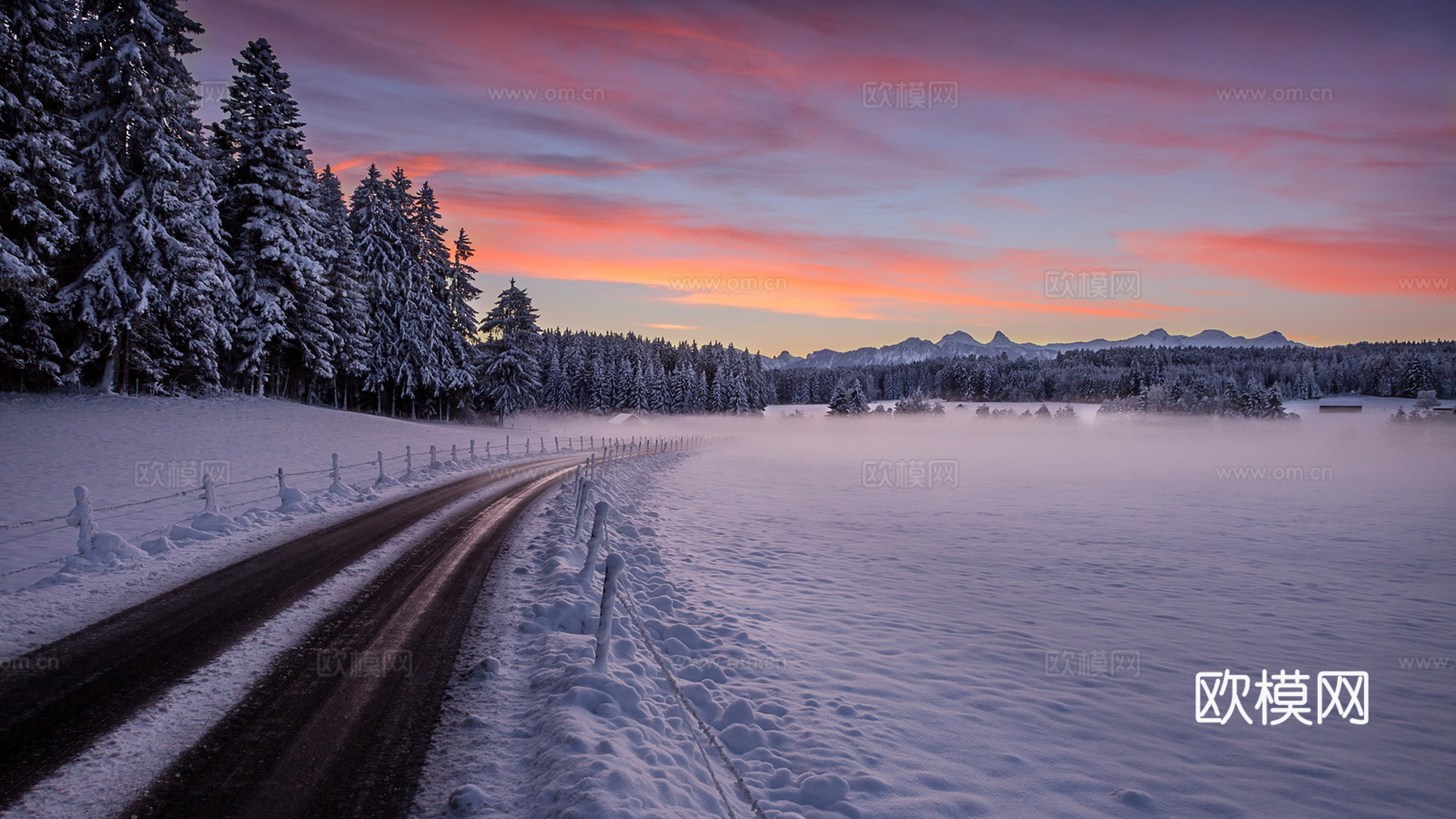 冬天道路雪树林日落风景
