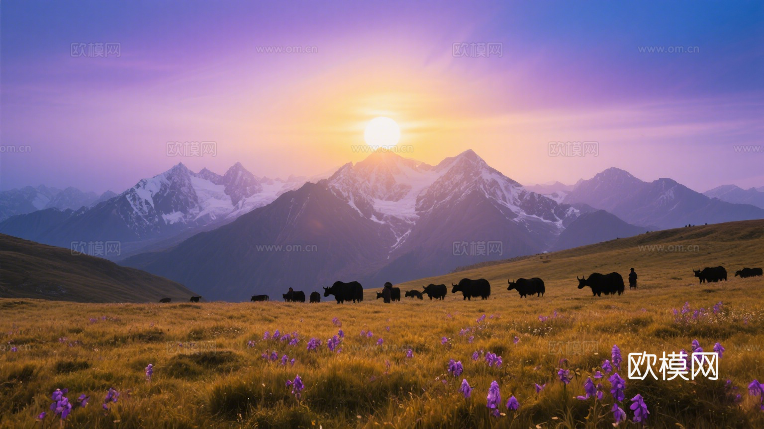 风景 黄昏 夕阳 山脉 草原