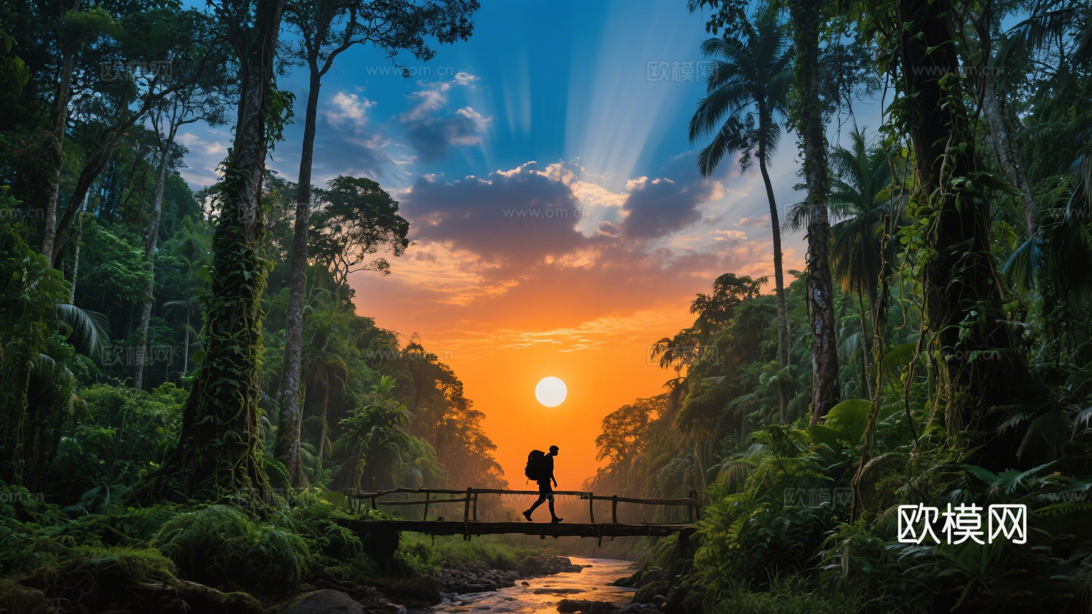 风景 黄昏 夕阳 湖面 森林