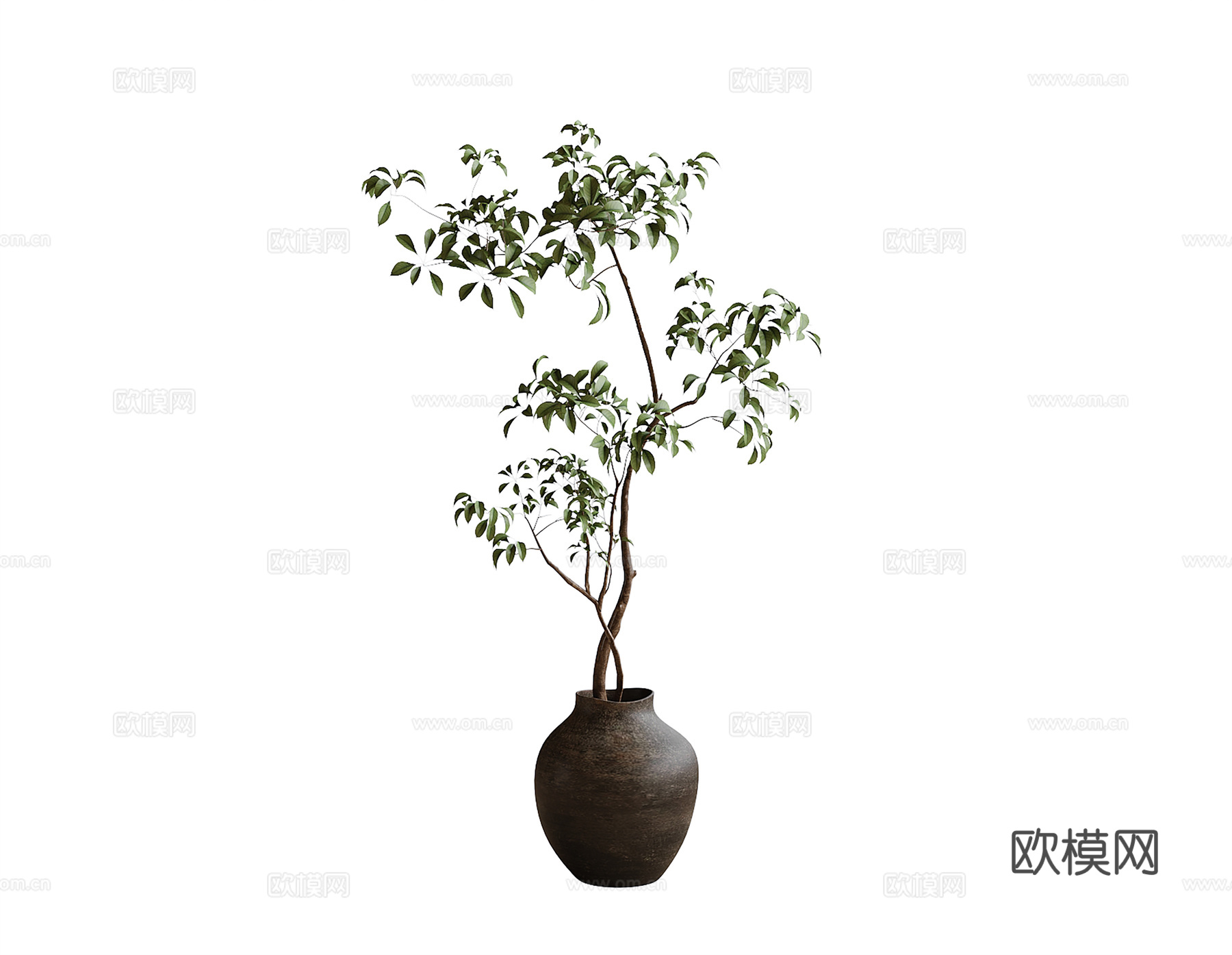 现代盆栽绿植 植物摆件su模型