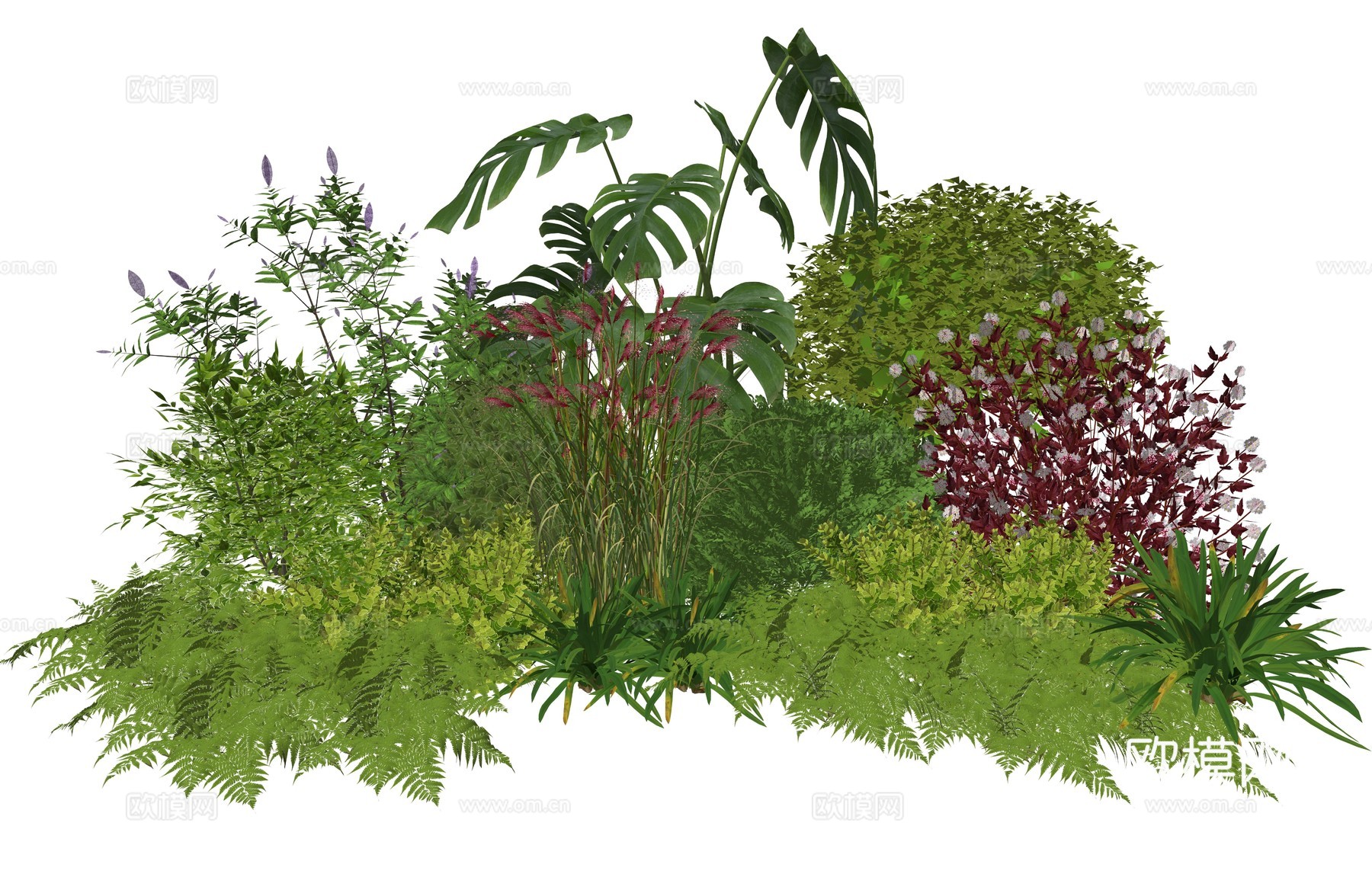 现代庭院花灌木植物组合su模型