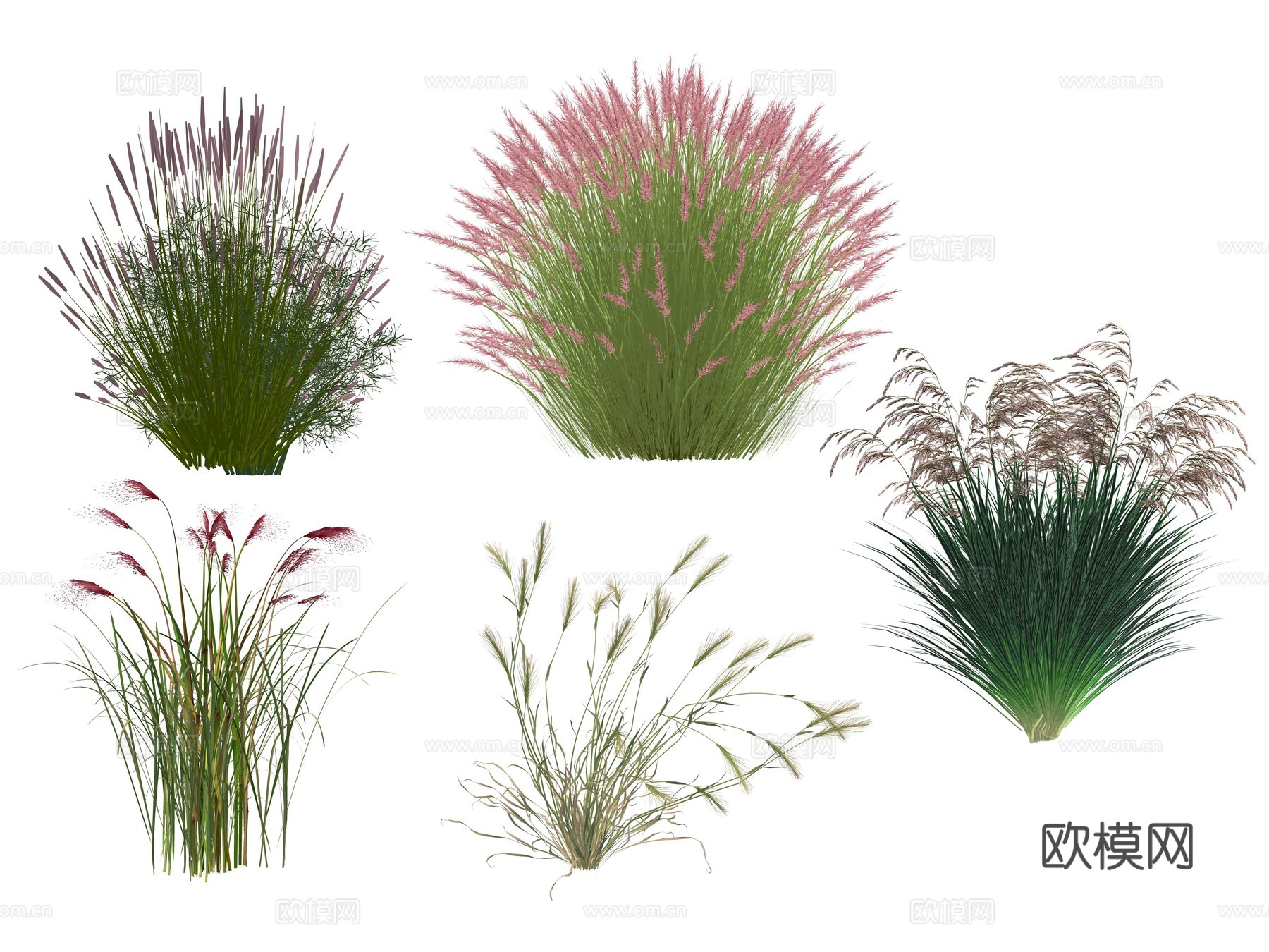 现代庭院景观花卉植物su模型