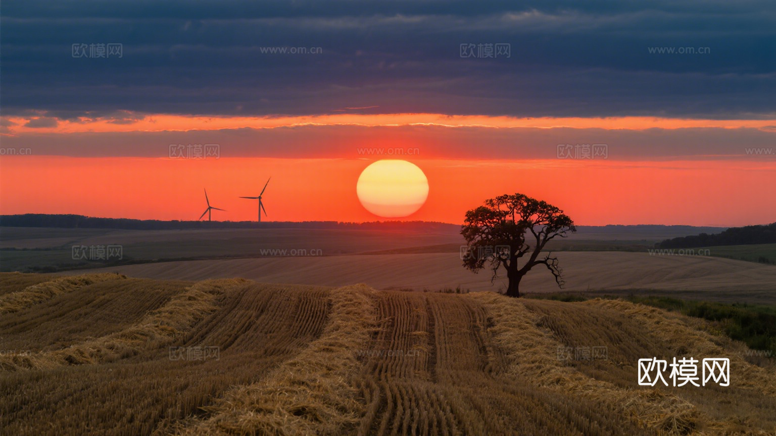风景 黄昏 夕阳 农田 落日
