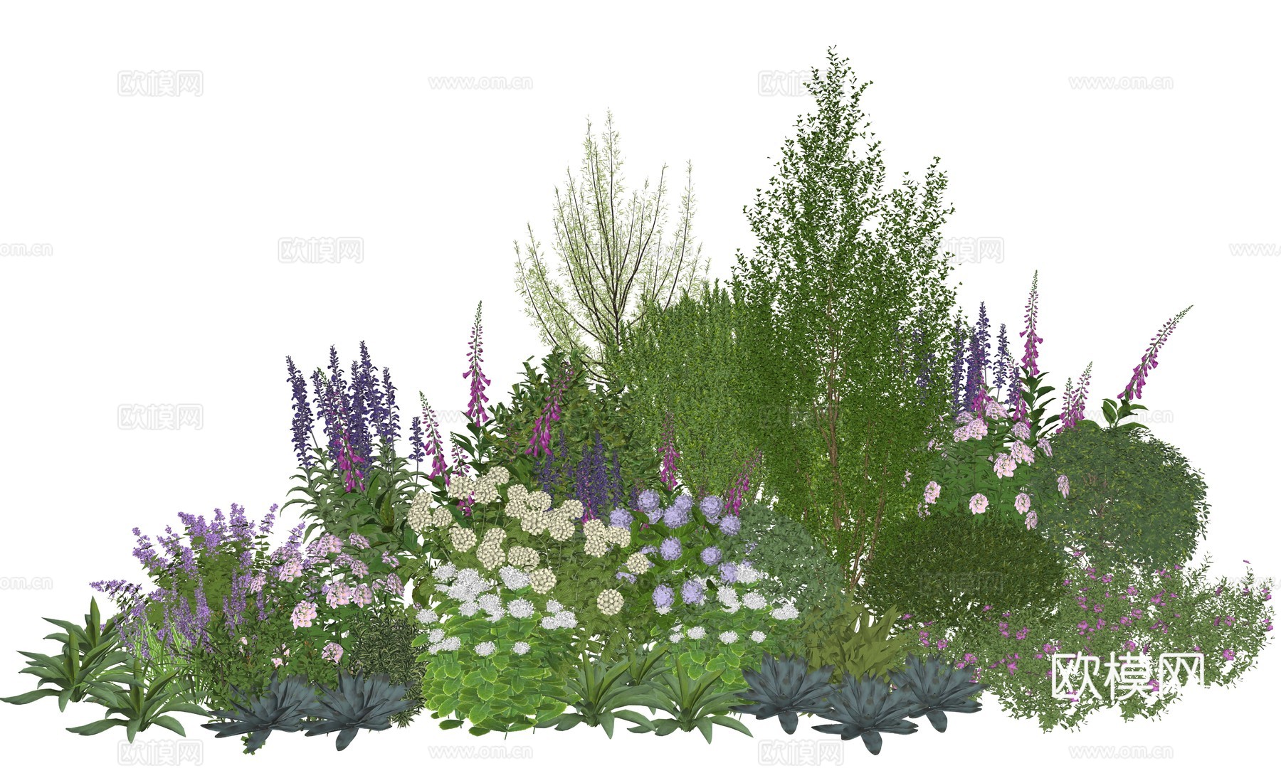 现代庭院花灌木植物组合su模型