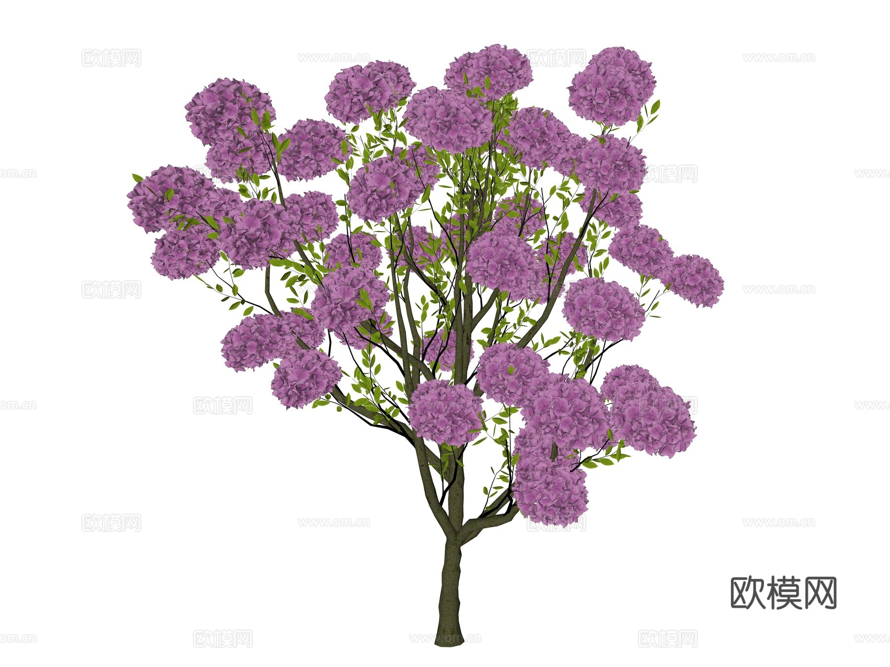 现代花灌木植物su模型