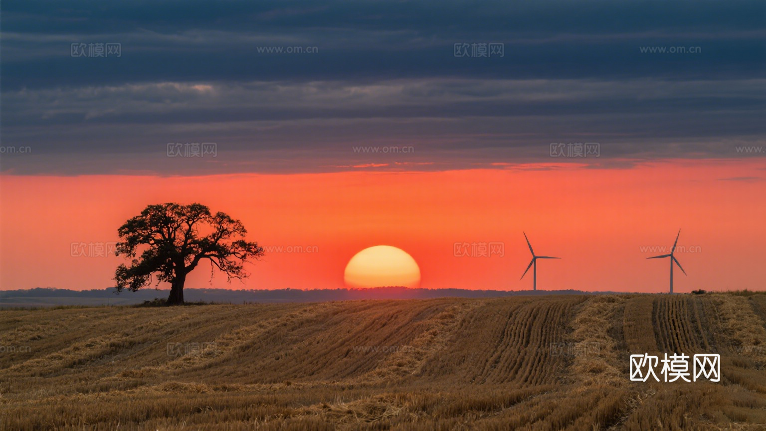 风景 黄昏 夕阳 农田