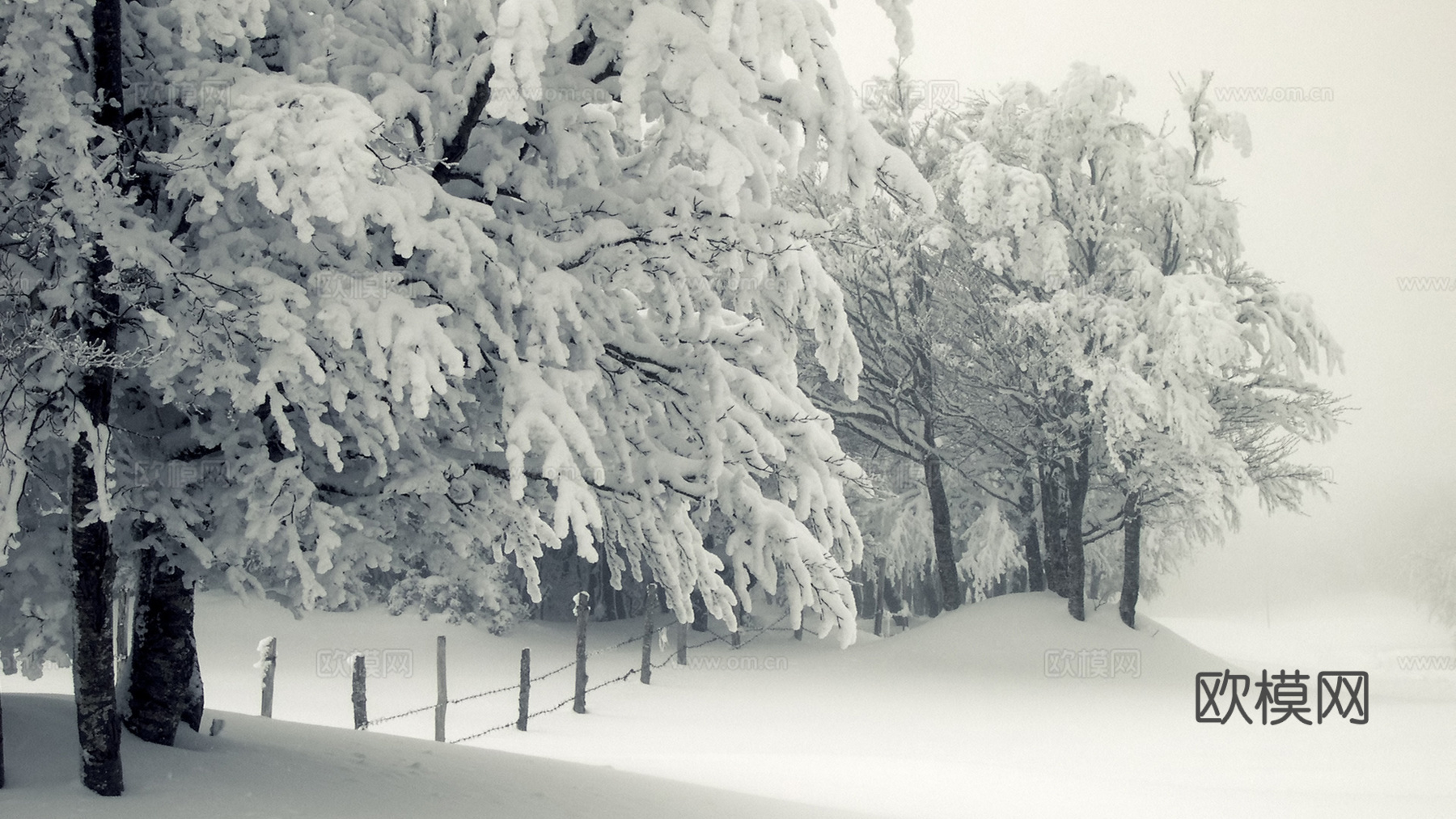 冬季户外雪景