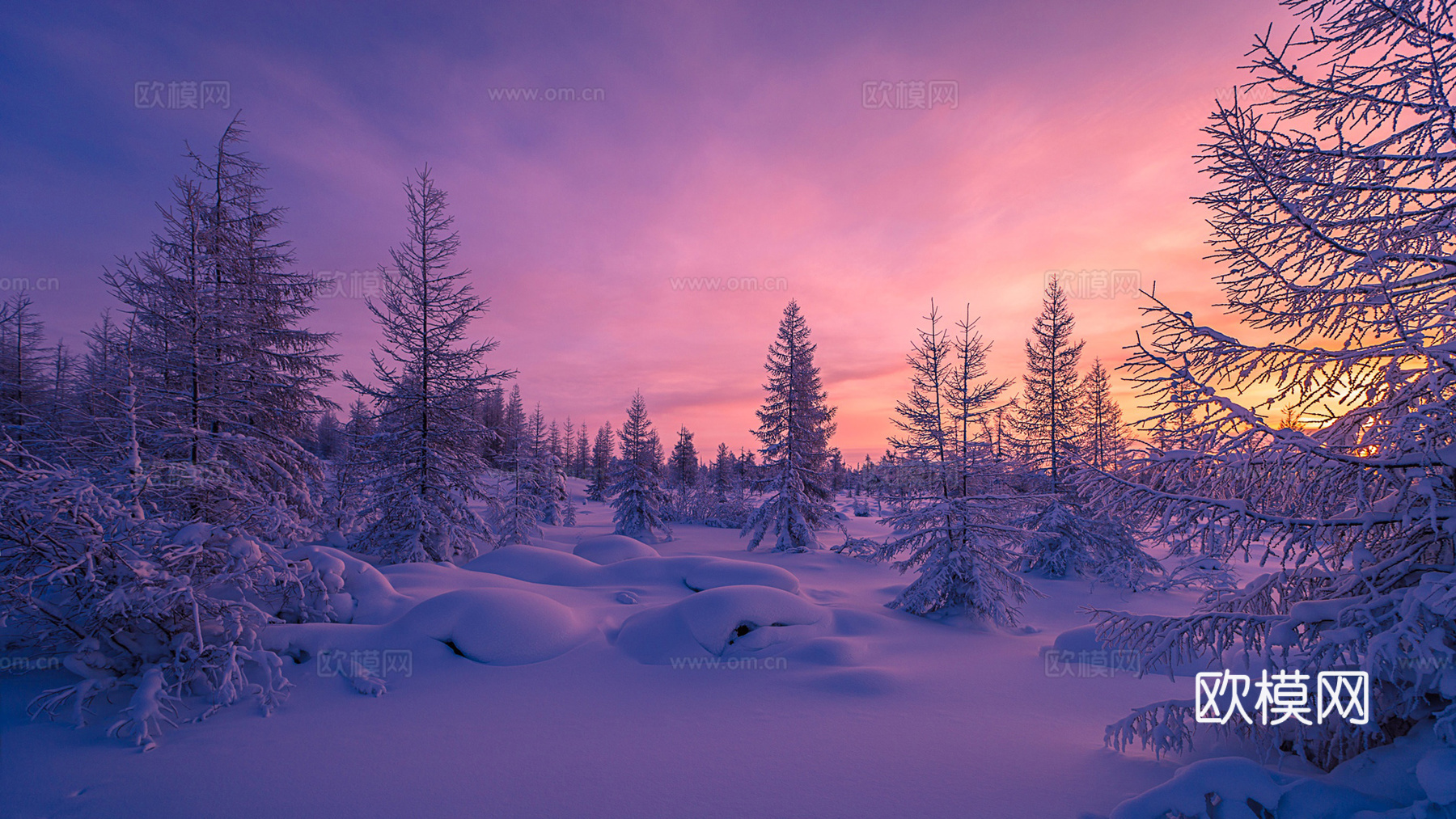 冬季户外雪景