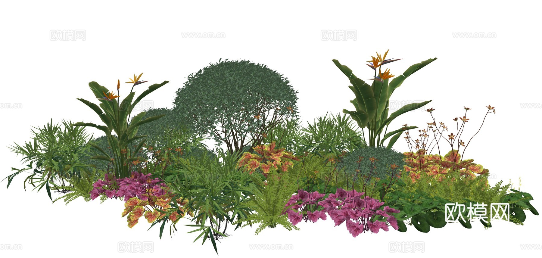 现代庭院植物堆景观su模型