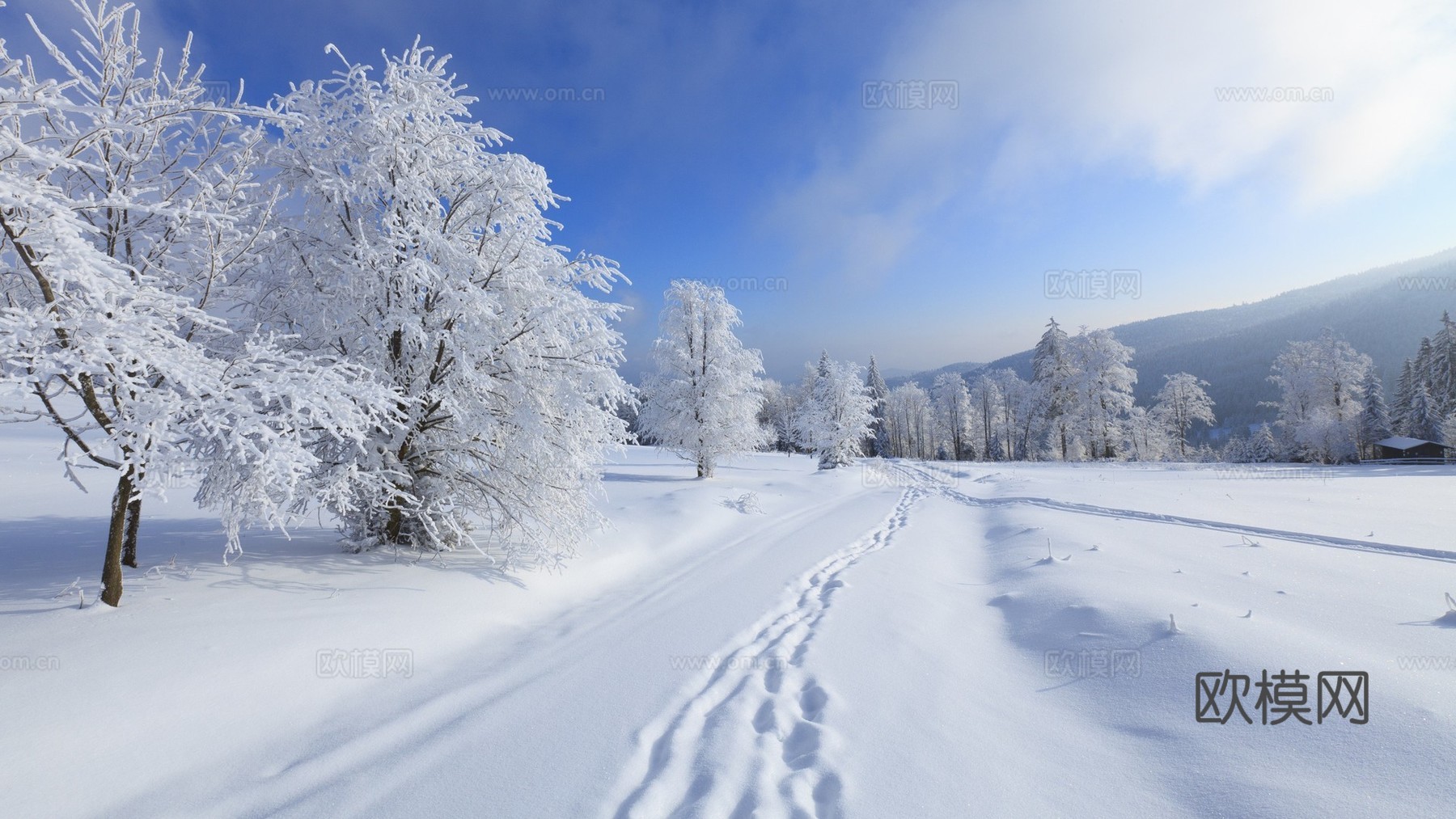 冬季户外雪景