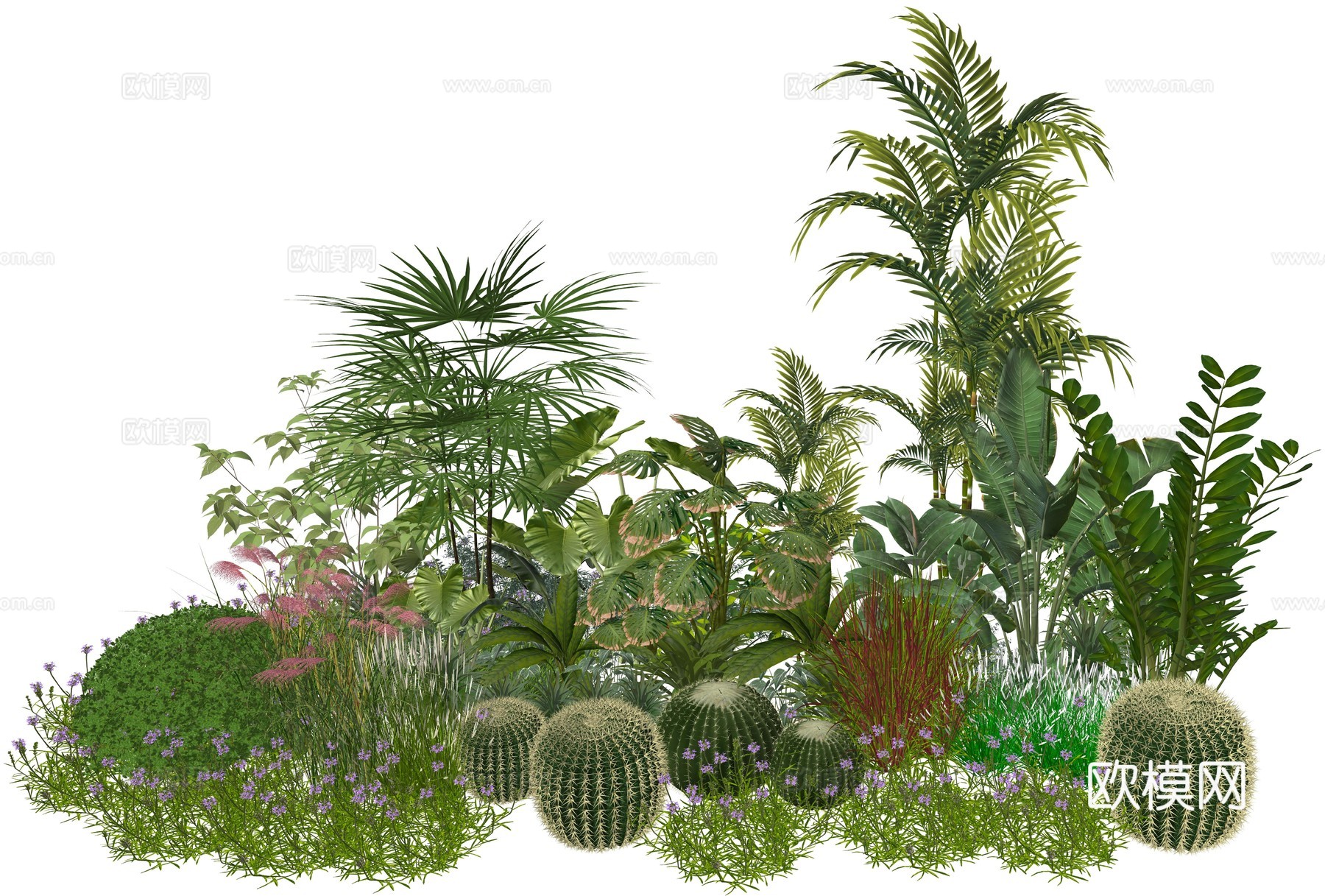 现代庭院植物景观组合su模型