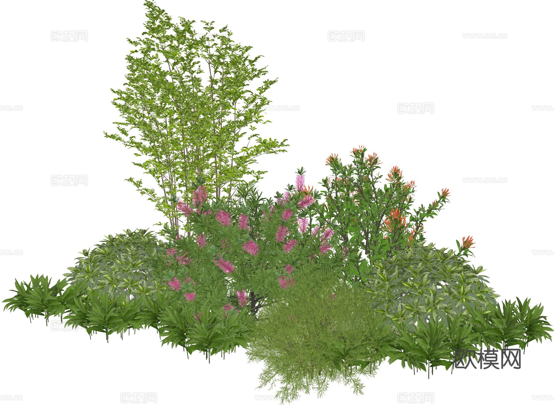 现代庭院花灌木植物组合su模型