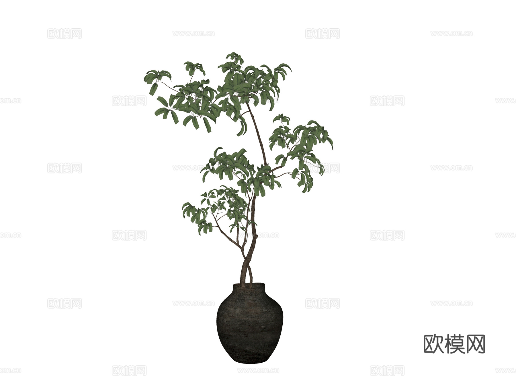 现代盆栽绿植 植物摆件su模型