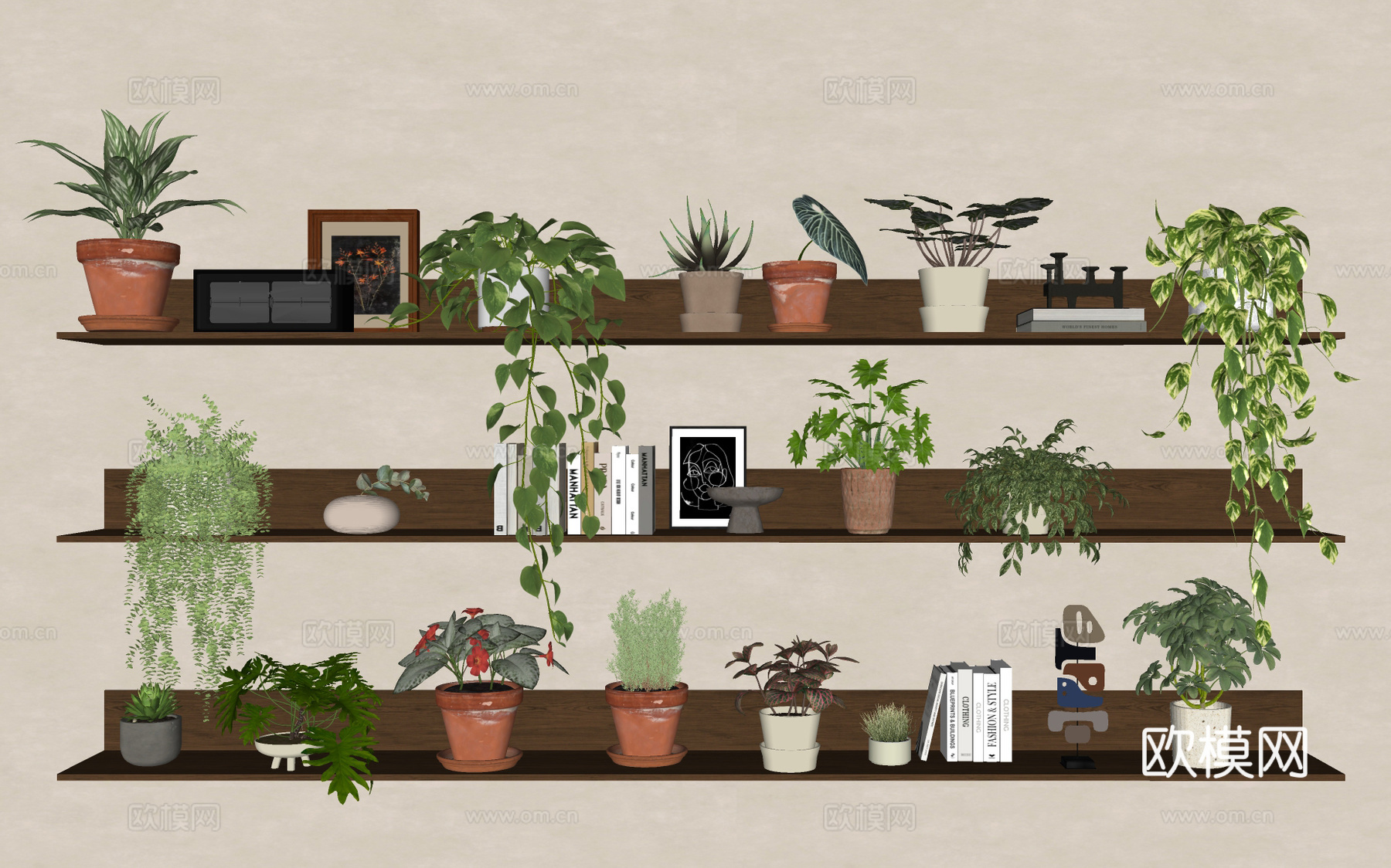 绿植 盆栽 吊兰 垂吊植物 小绿植su模型