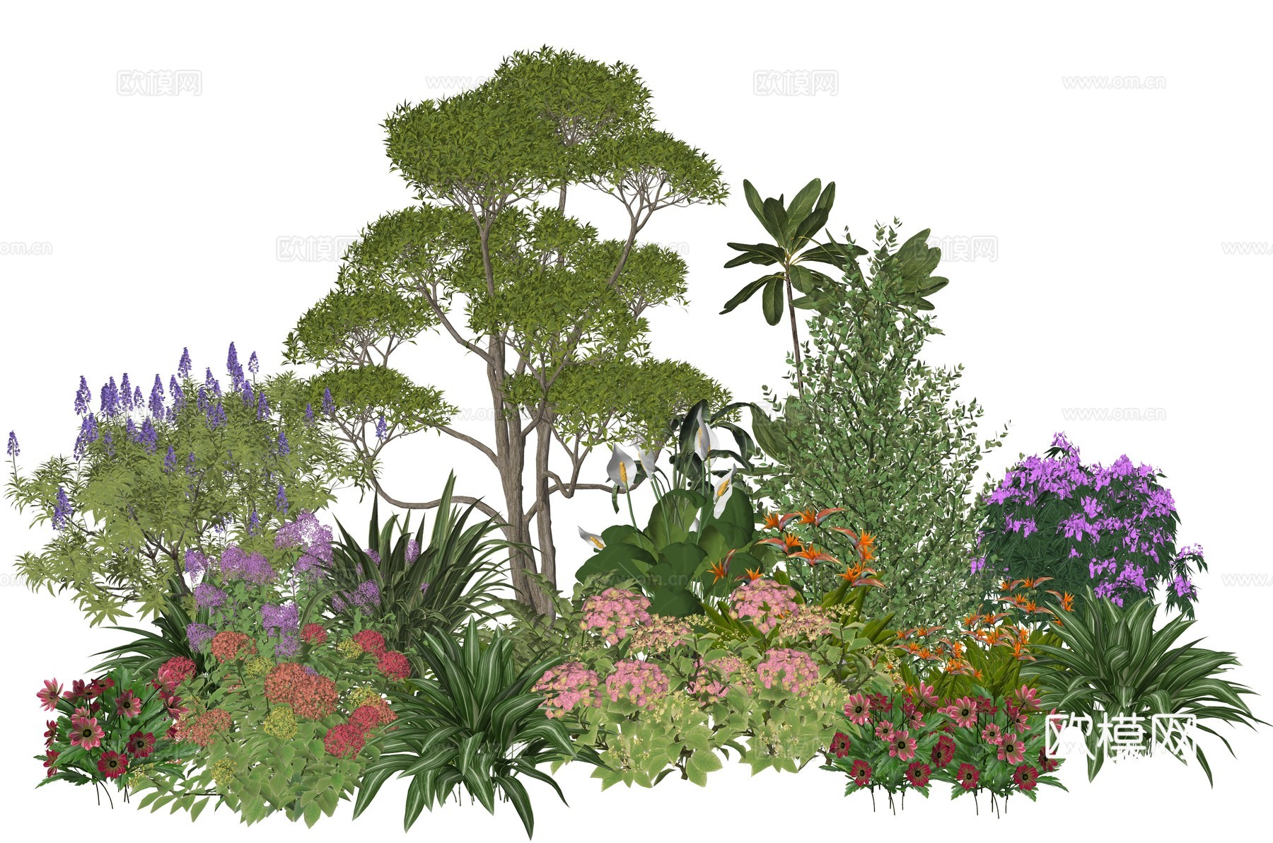 现代庭院植物景观组合su模型