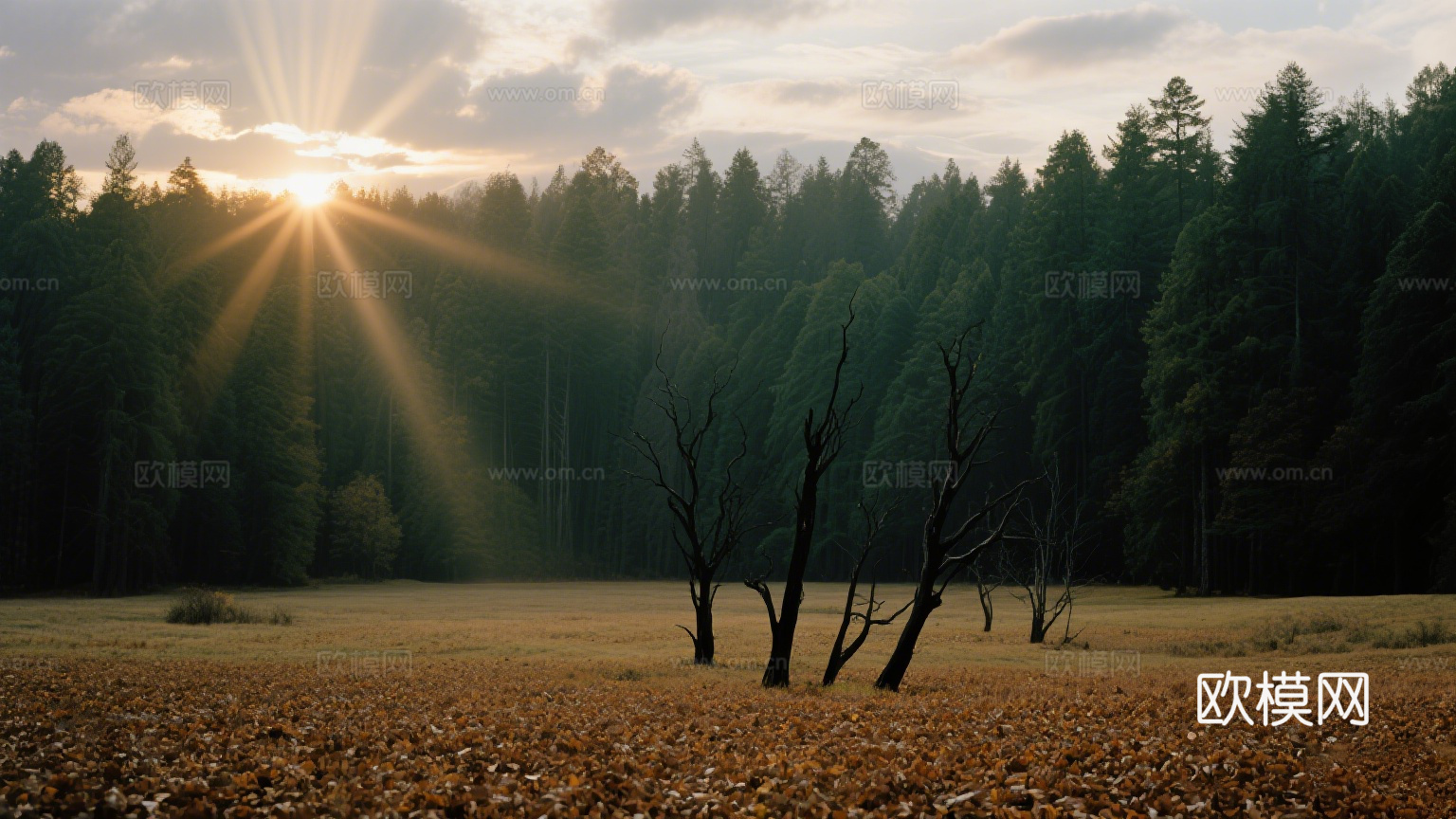 黄昏 夕阳 风景