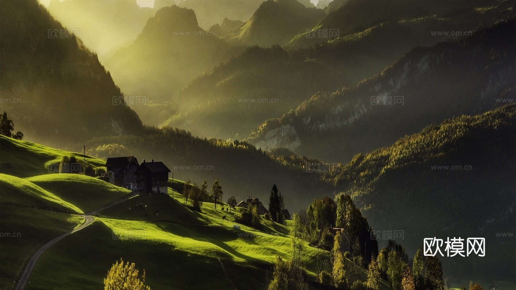 山谷光森林住宅绿色风景