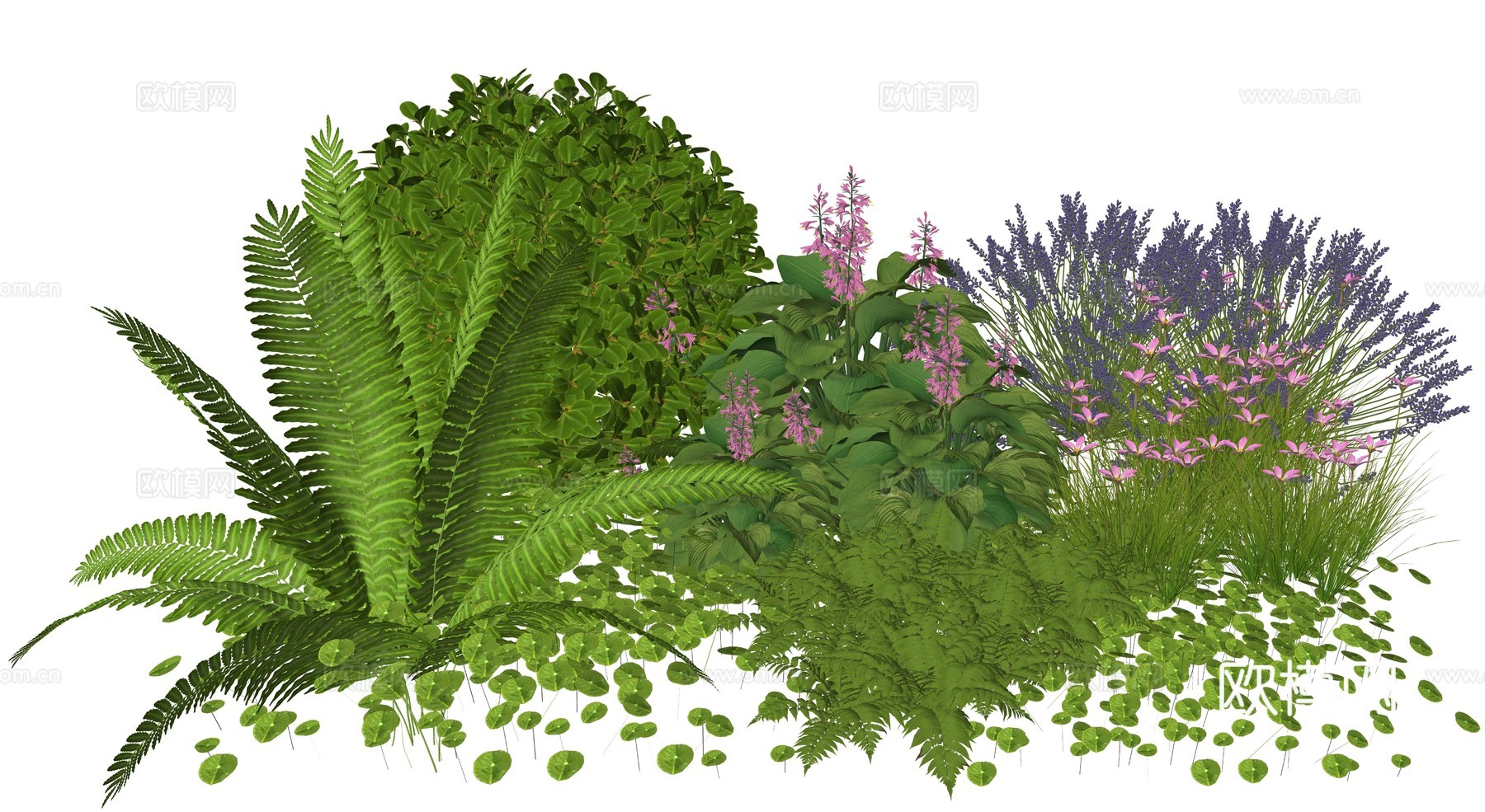 现代庭院植物堆景观组合su模型