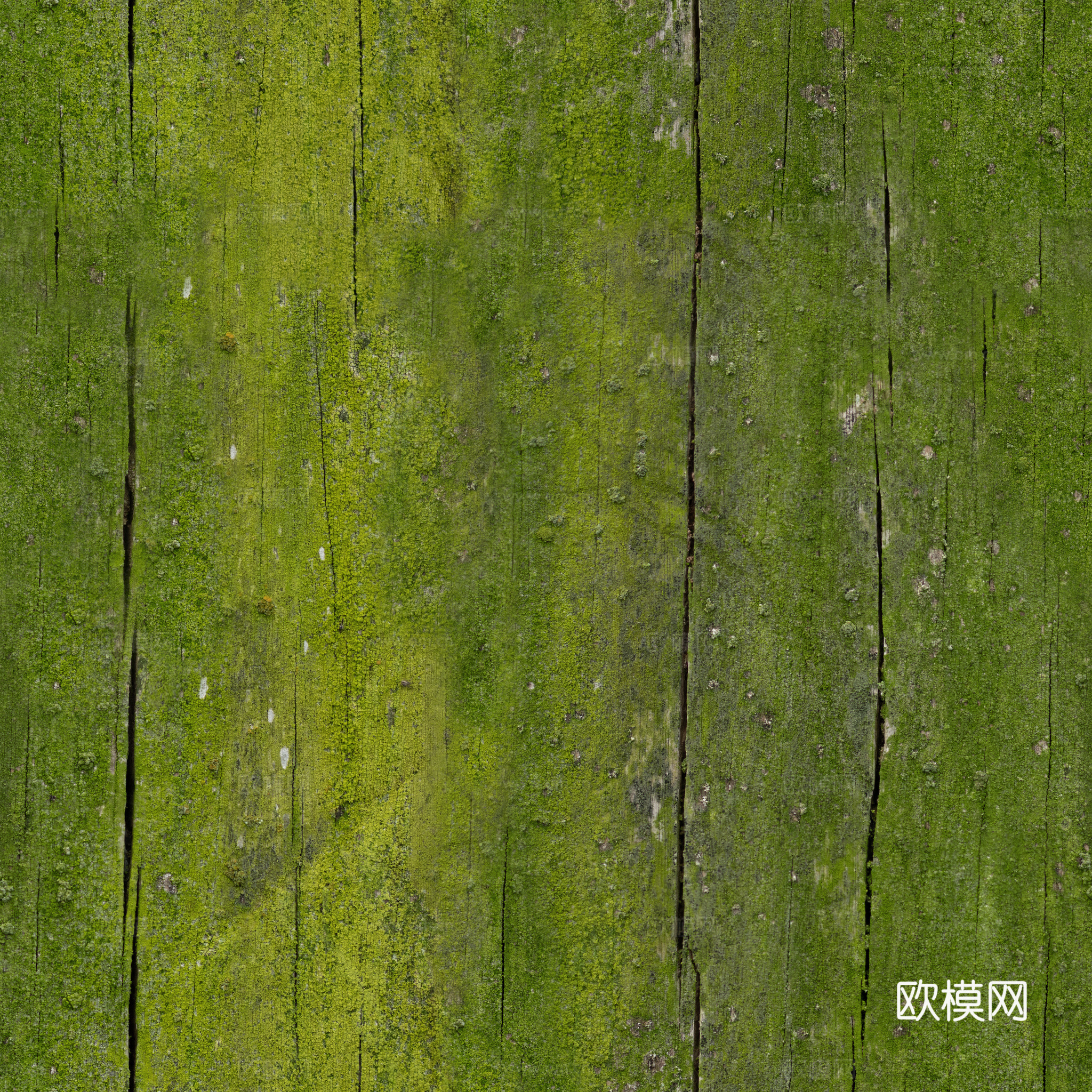 老旧破旧苔藓木板木纹 PBR材质贴图 2k