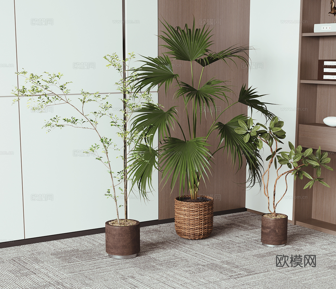 现代绿植盆栽3d模型下载