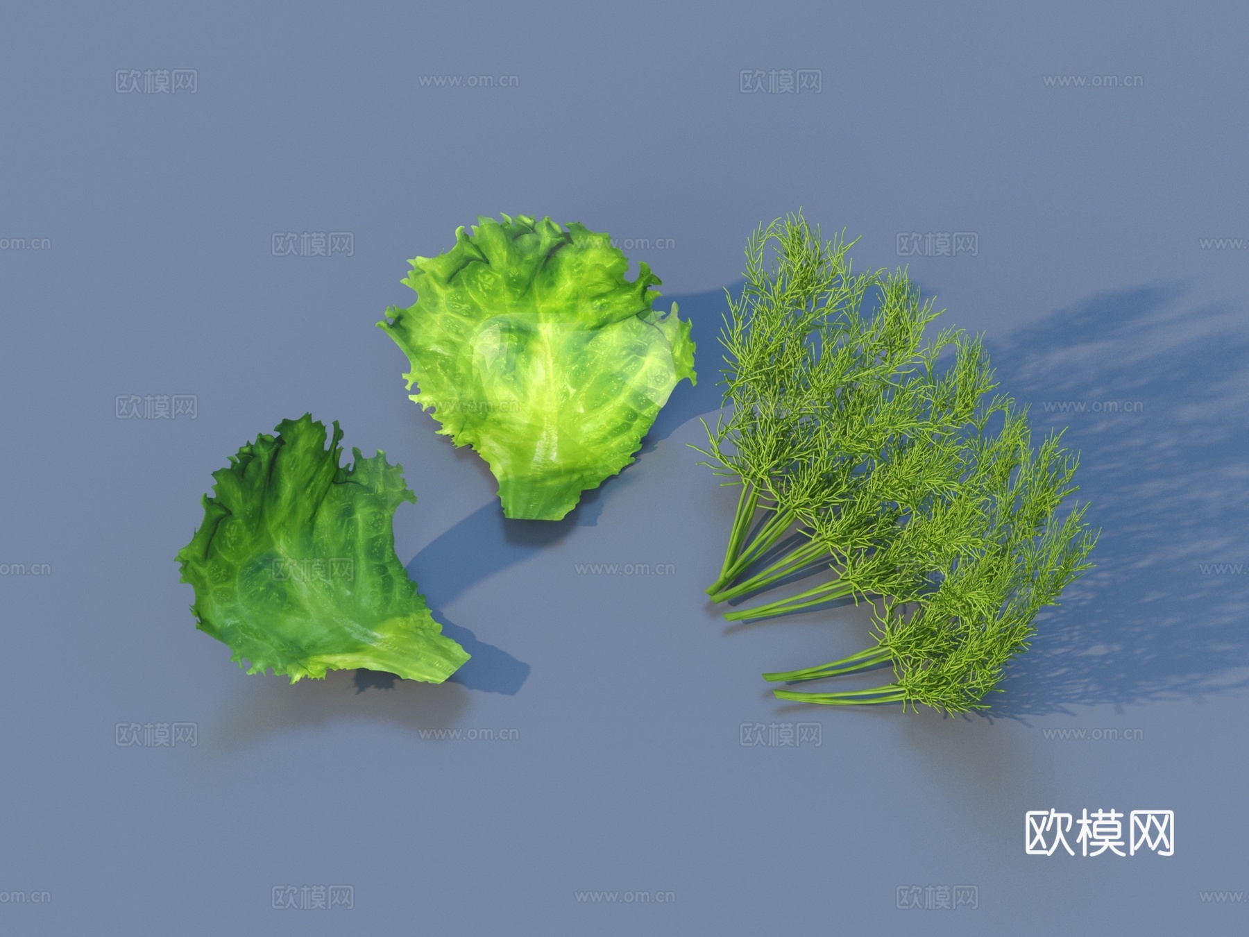 菜叶 蔬菜 生菜 青菜3d模型下载