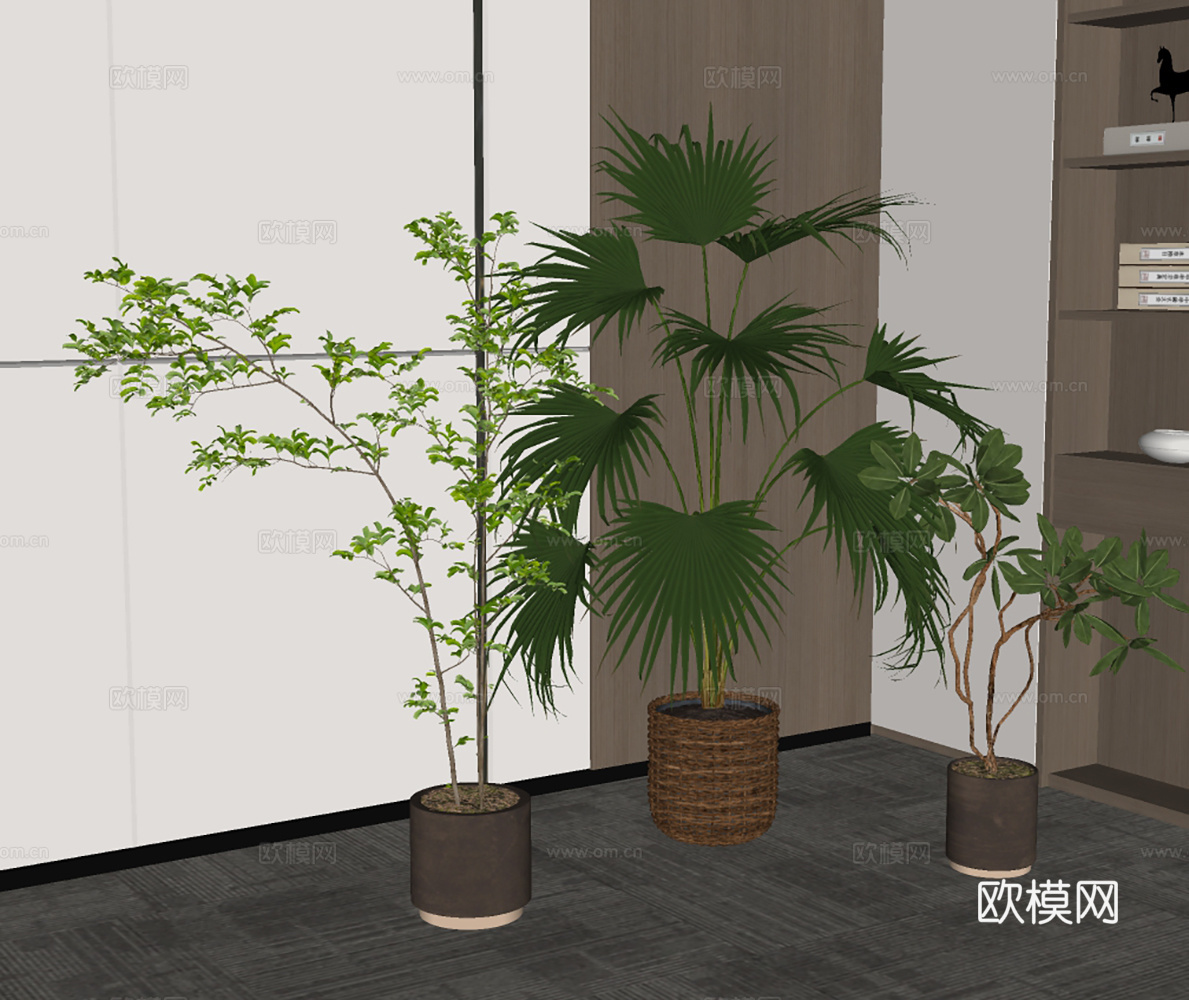 现代绿植盆栽su模型