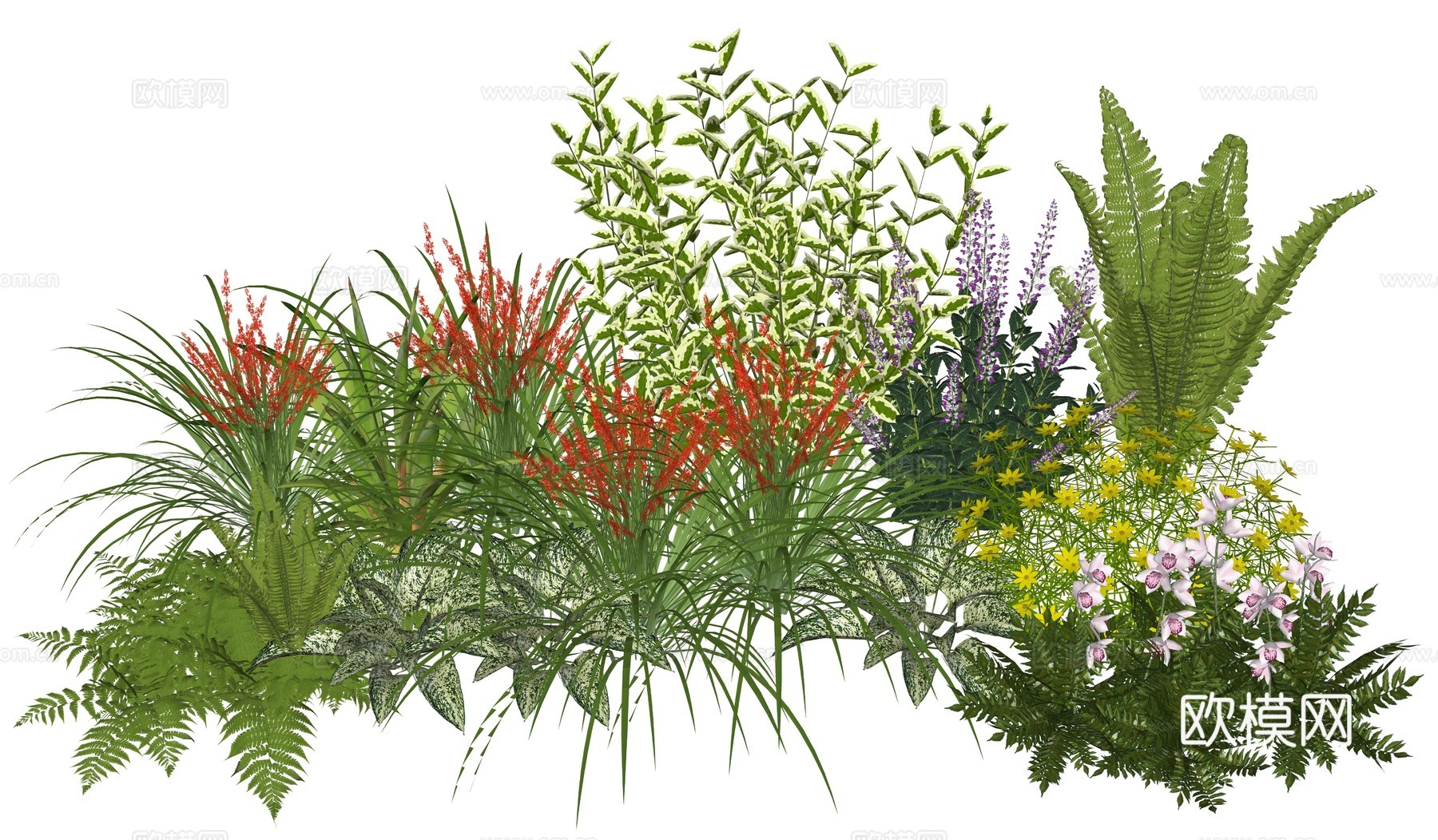 现代庭院植物堆组合su模型