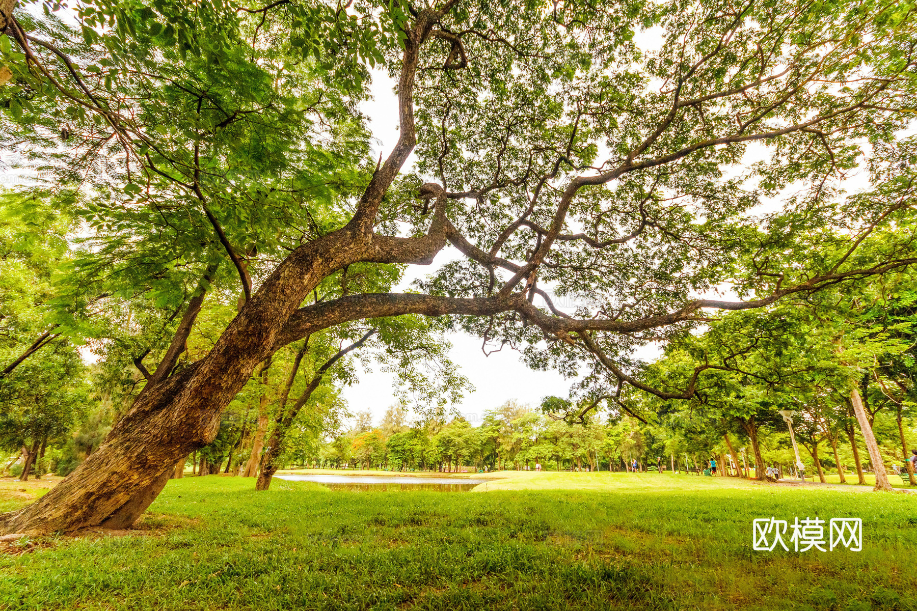 白天城市公园外景下载