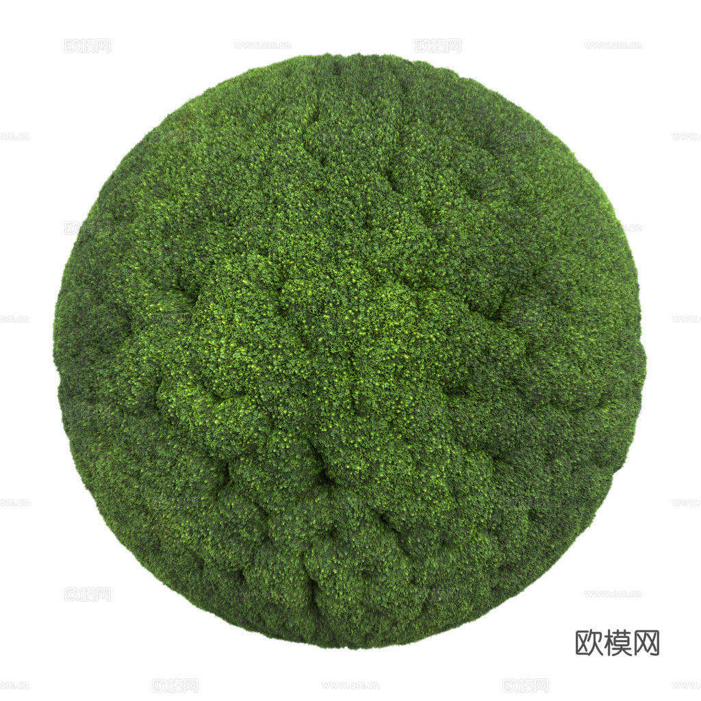 苔藓青苔 PBR贴图 2k