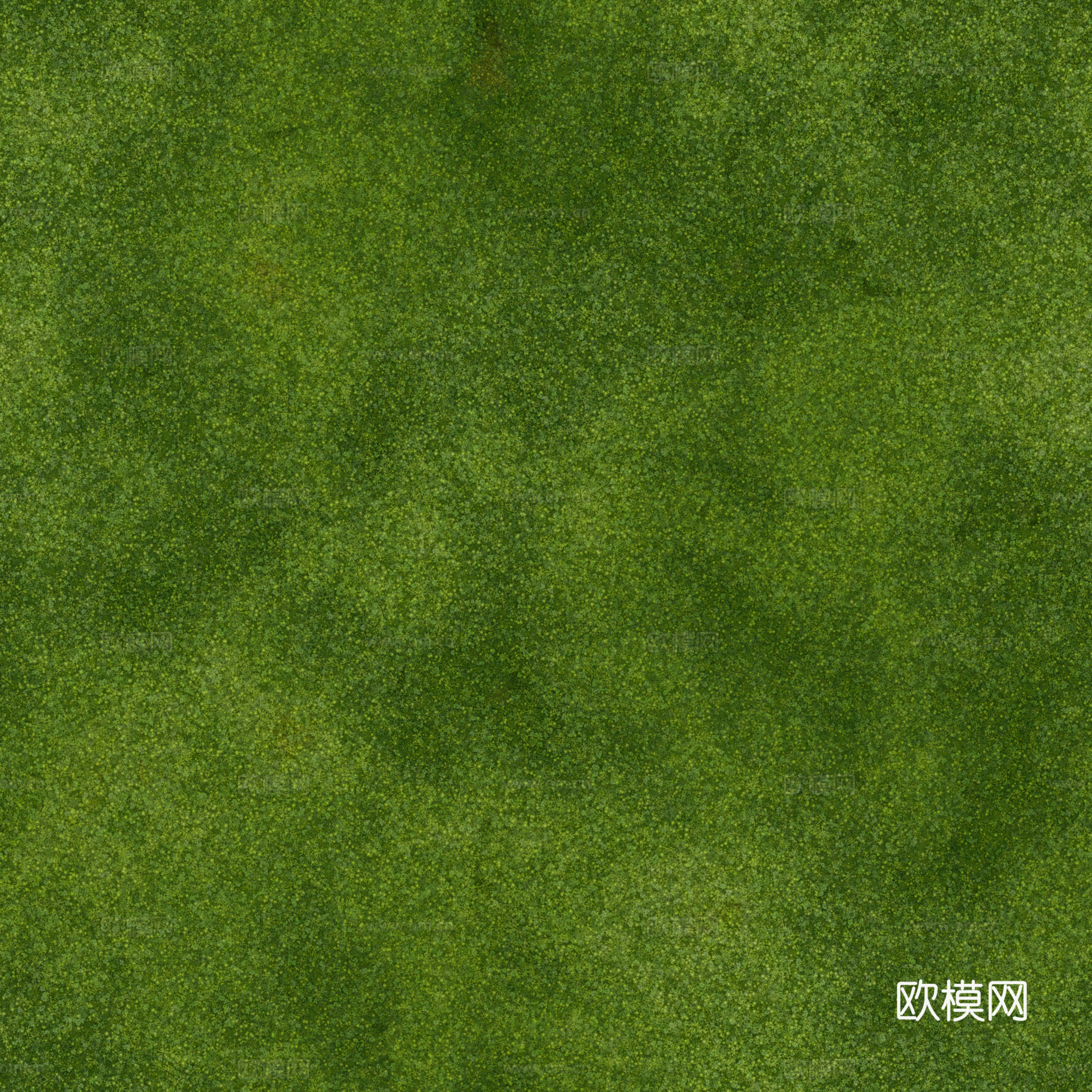 苔藓青苔 PBR贴图 2k