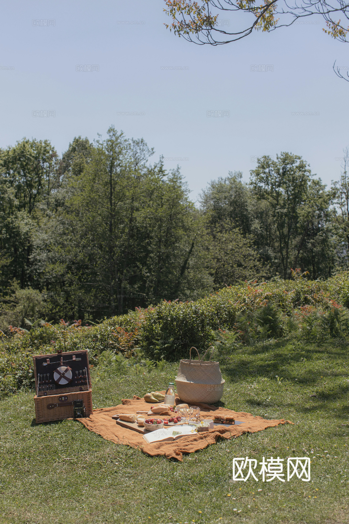 白天城市公园外景下载