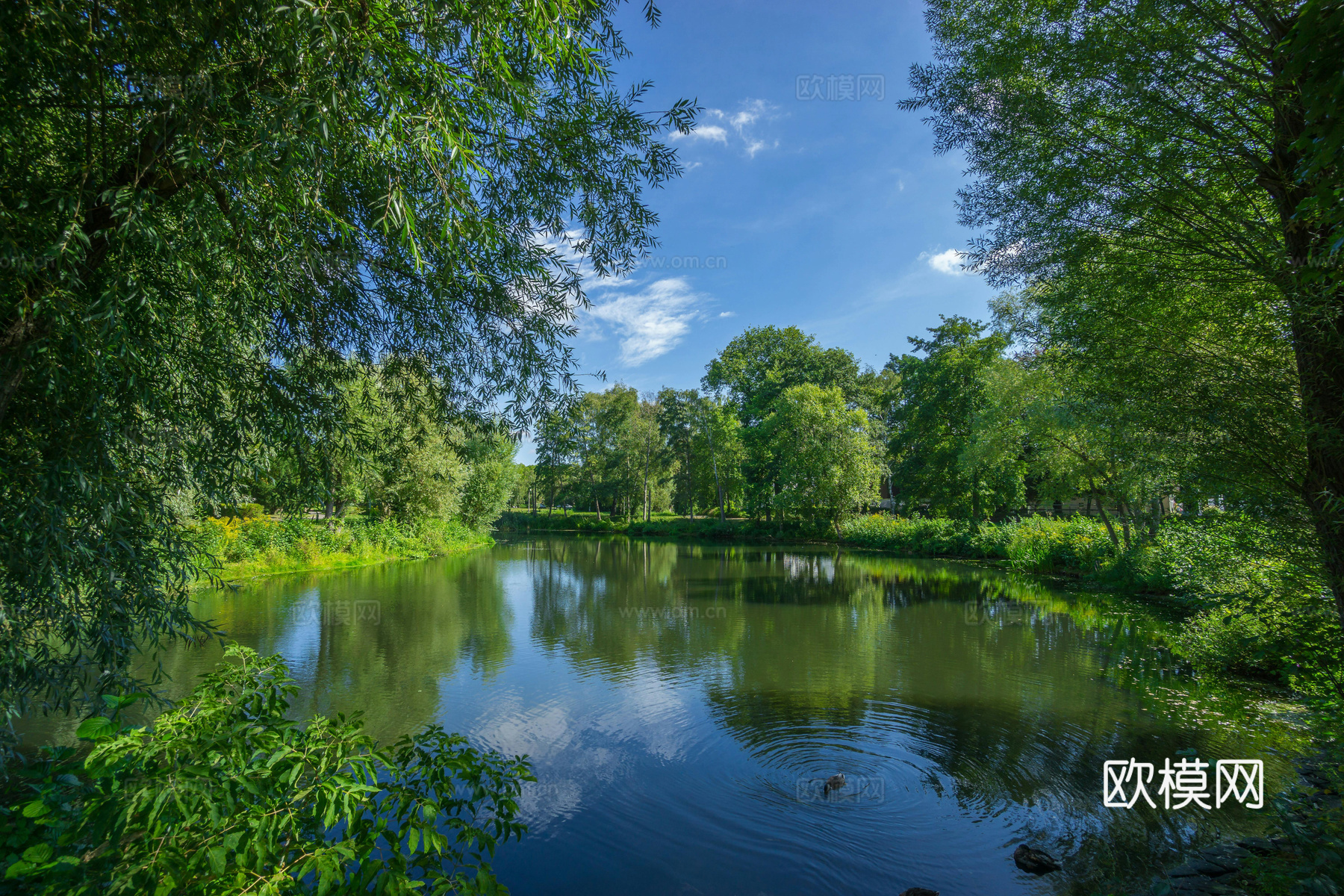 白天城市公园外景下载