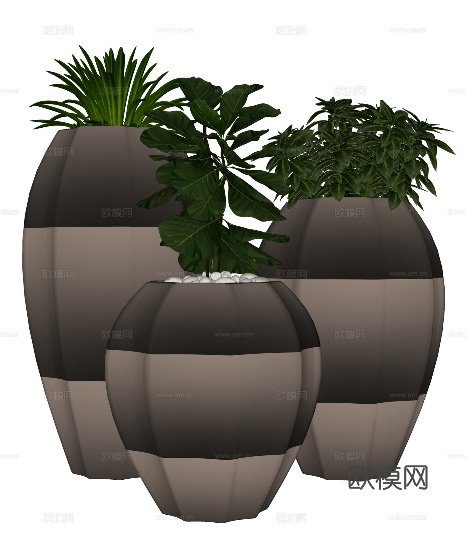 现代摆件 植物摆件 观赏绿植 室内绿植su模型