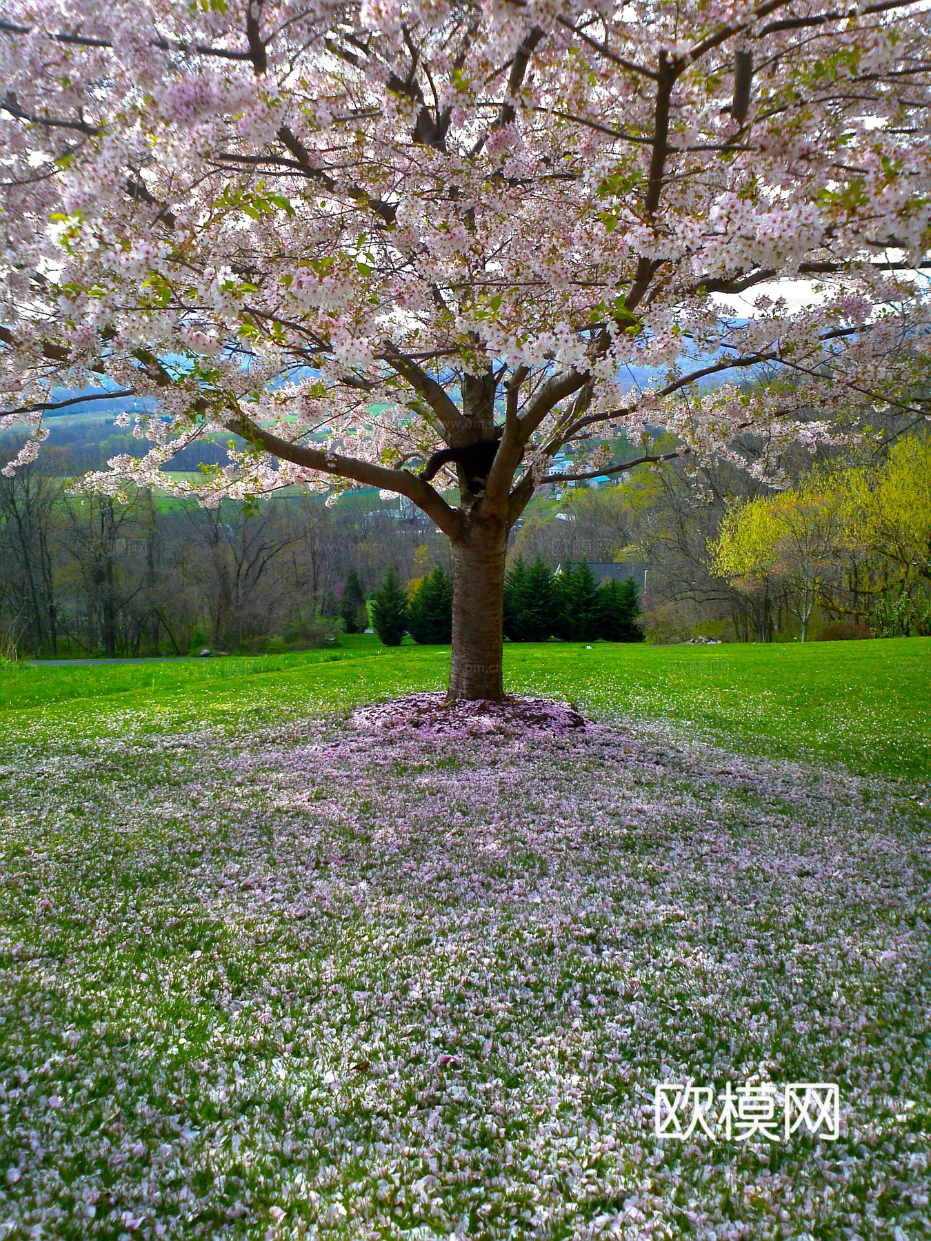 白天城市公园外景下载
