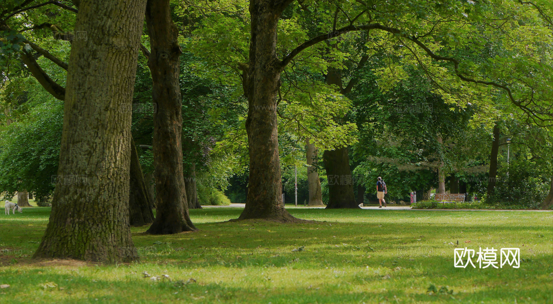 白天天空外景下载