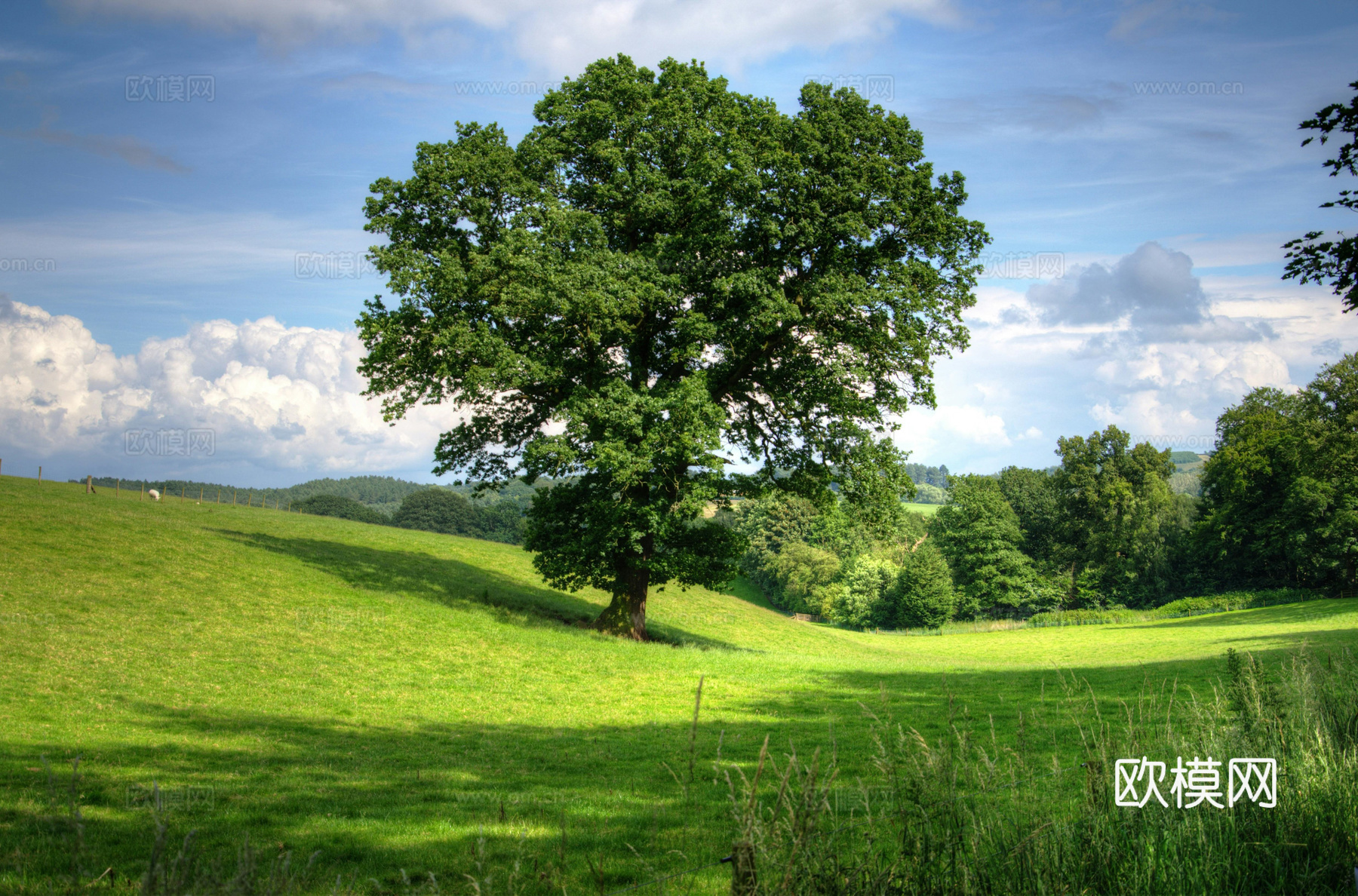 白天天空外景下载