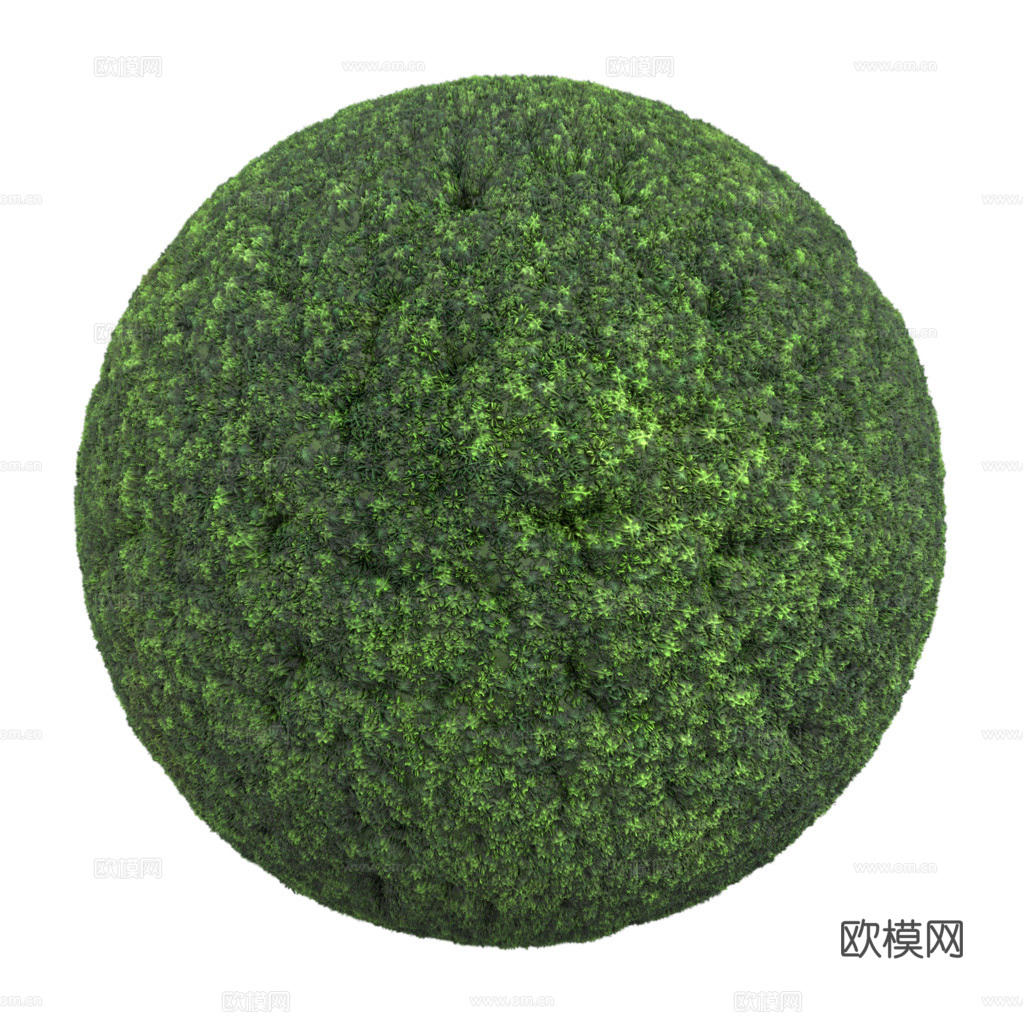 苔藓青苔 PBR贴图 2k