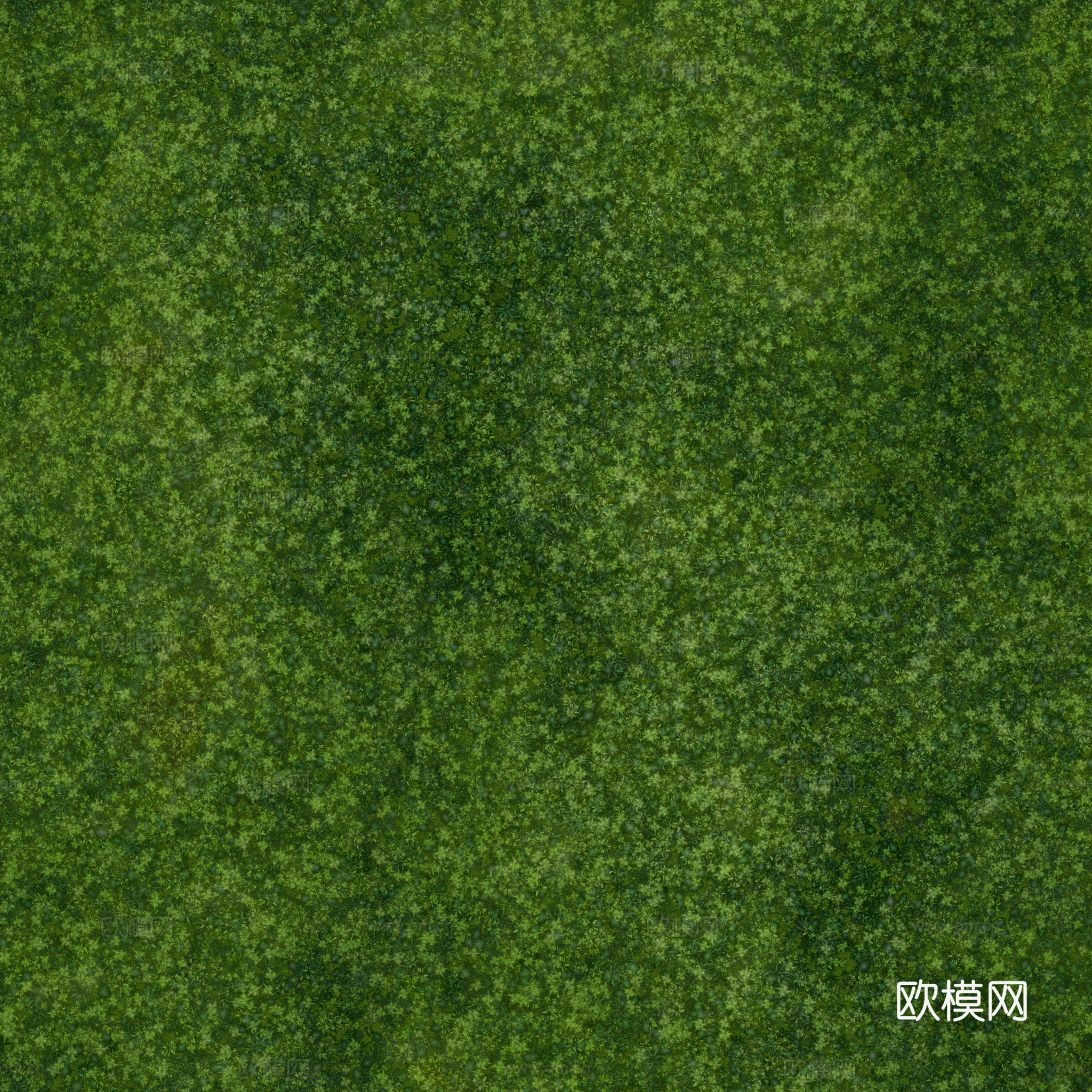 苔藓青苔 PBR贴图 2k