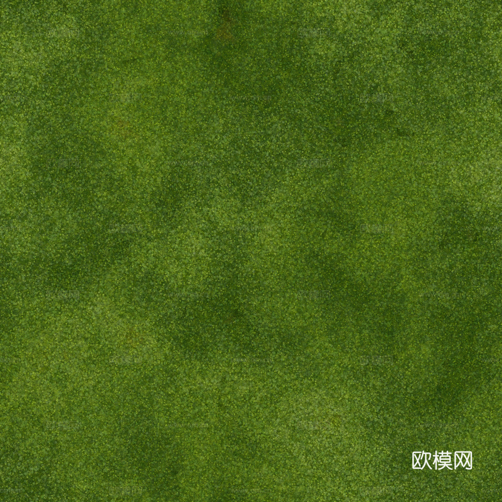 苔藓青苔 PBR贴图 1k