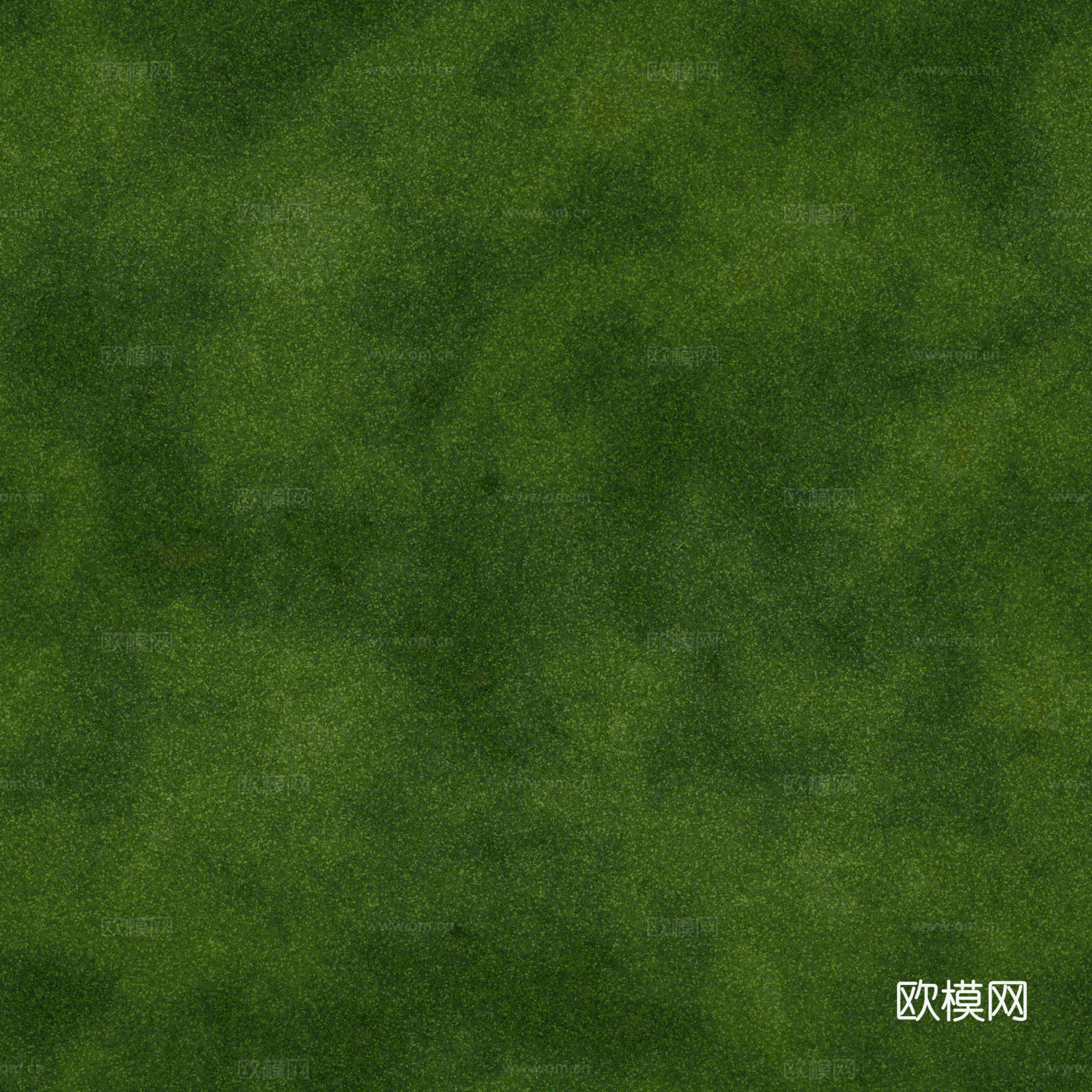 苔藓青苔 PBR贴图 2k